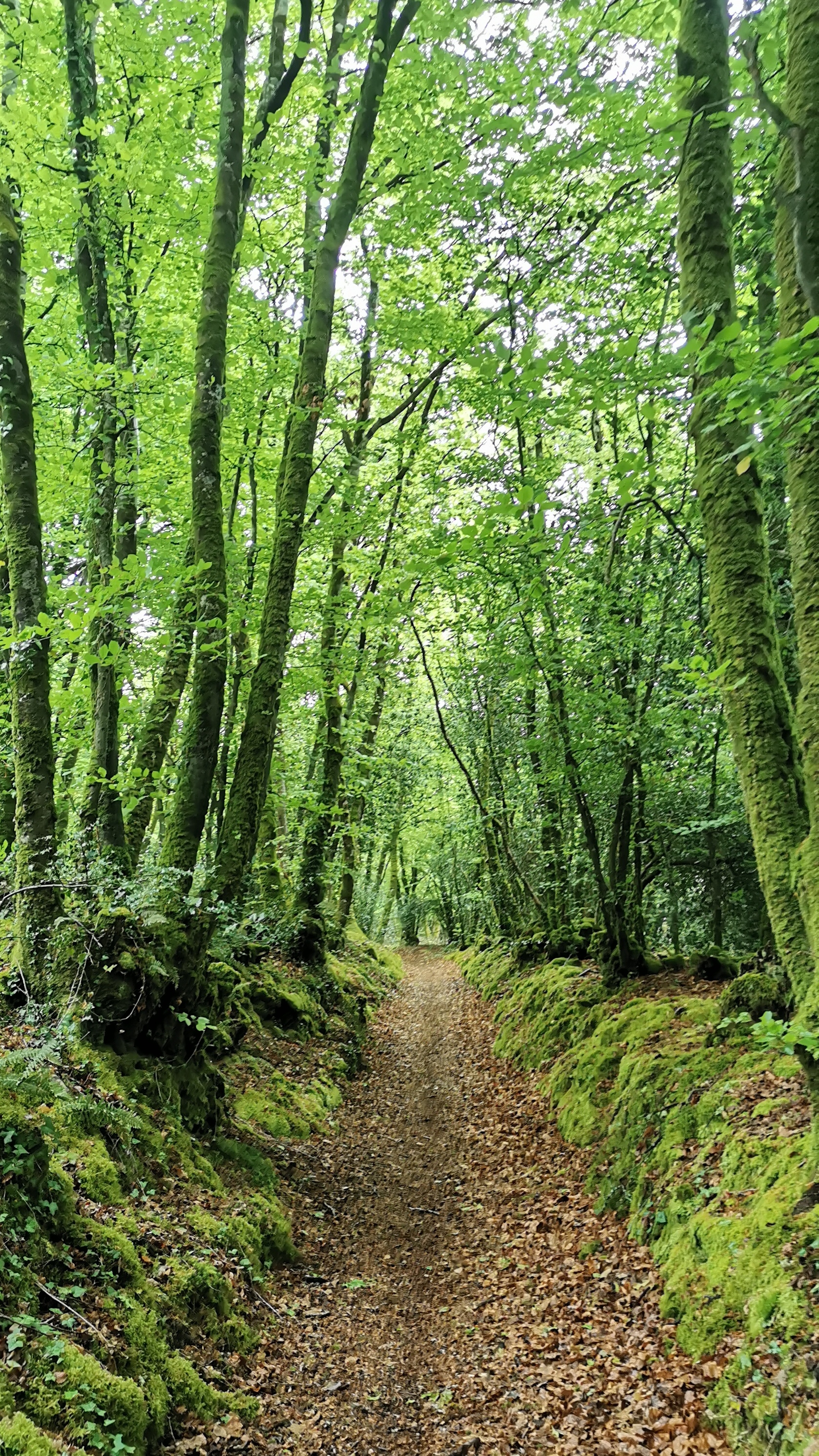 23-IMG_20210508_103200