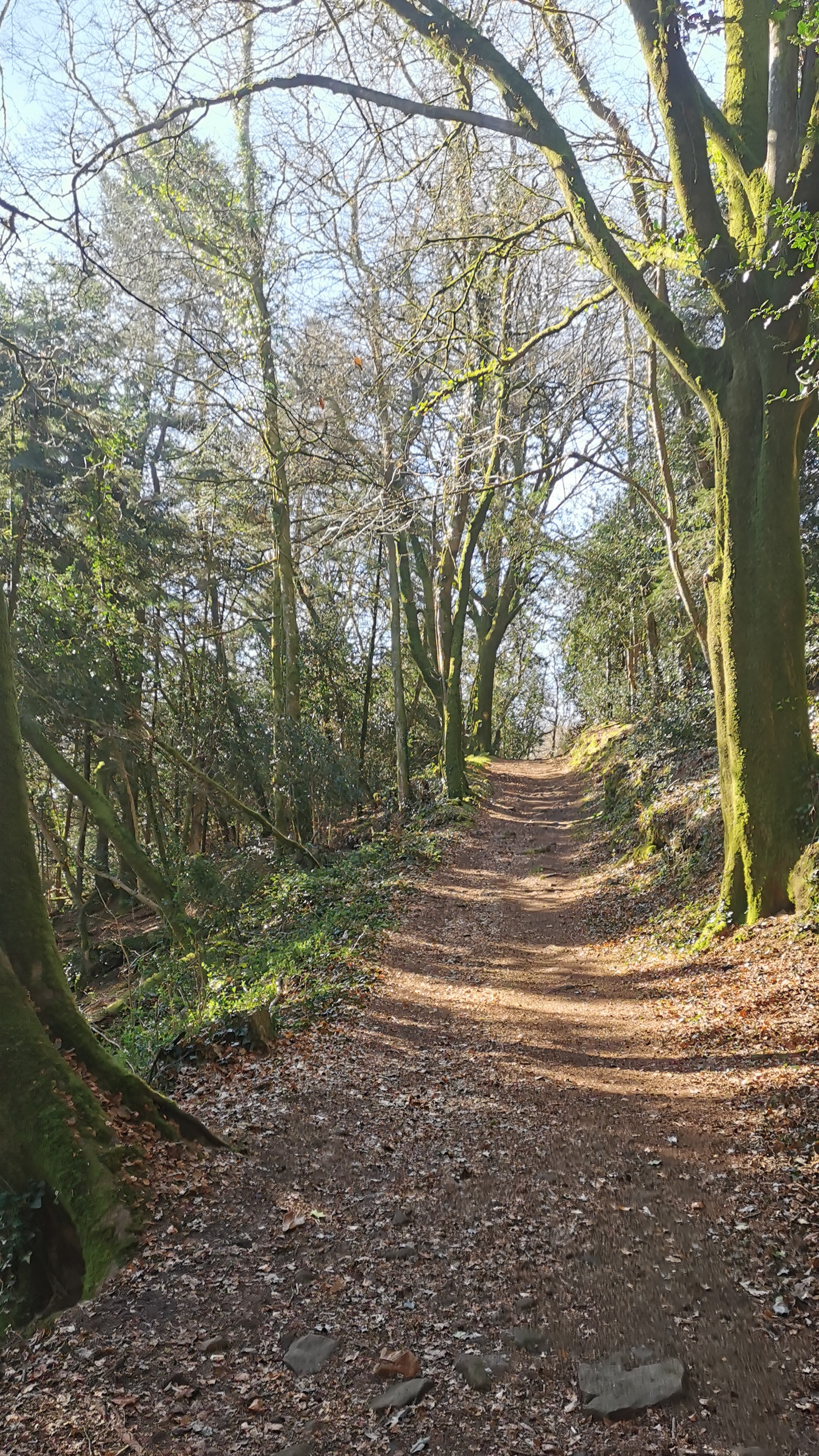 09-IMG_20210320_100523