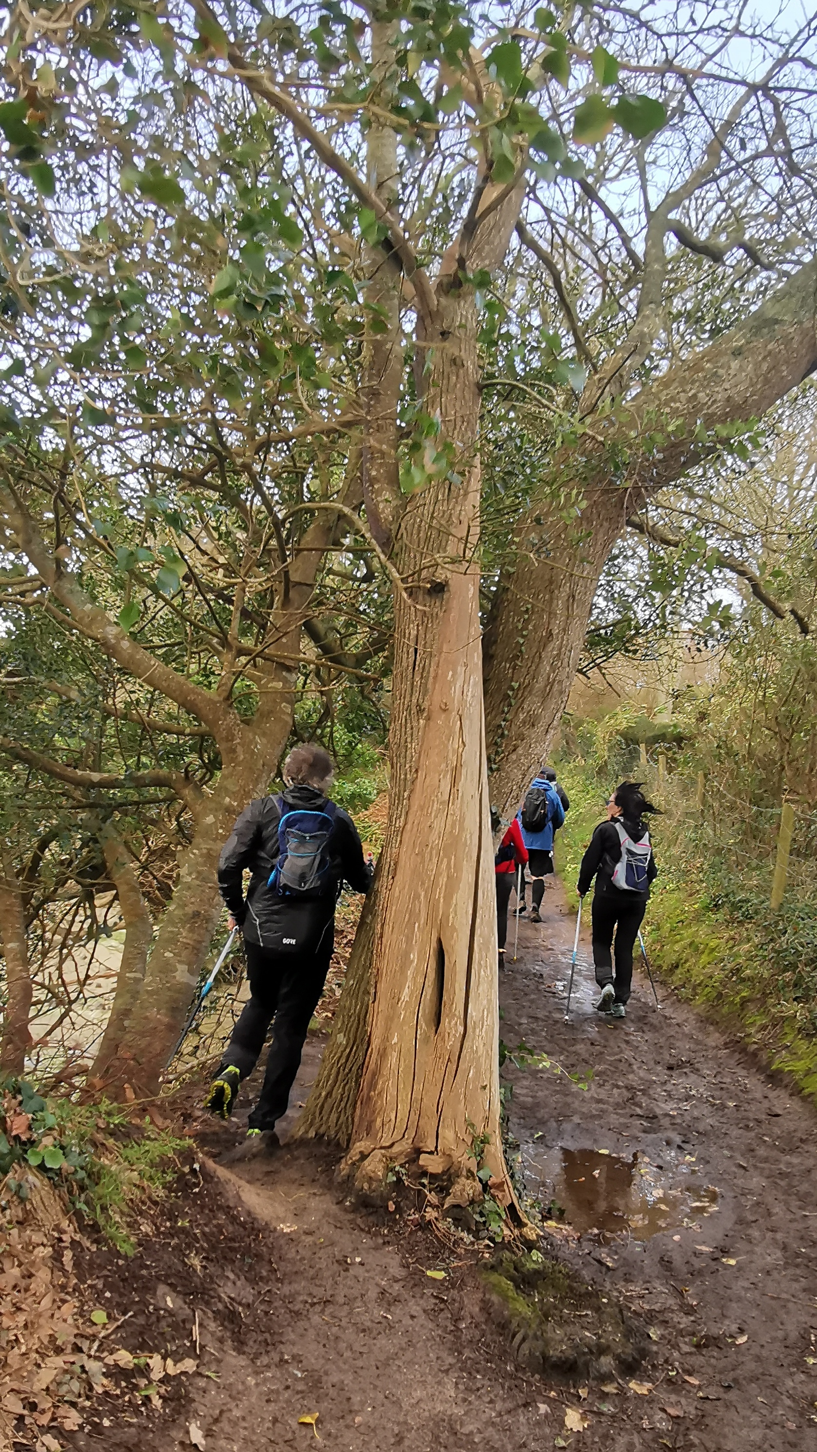 36-IMG_20210311_105348