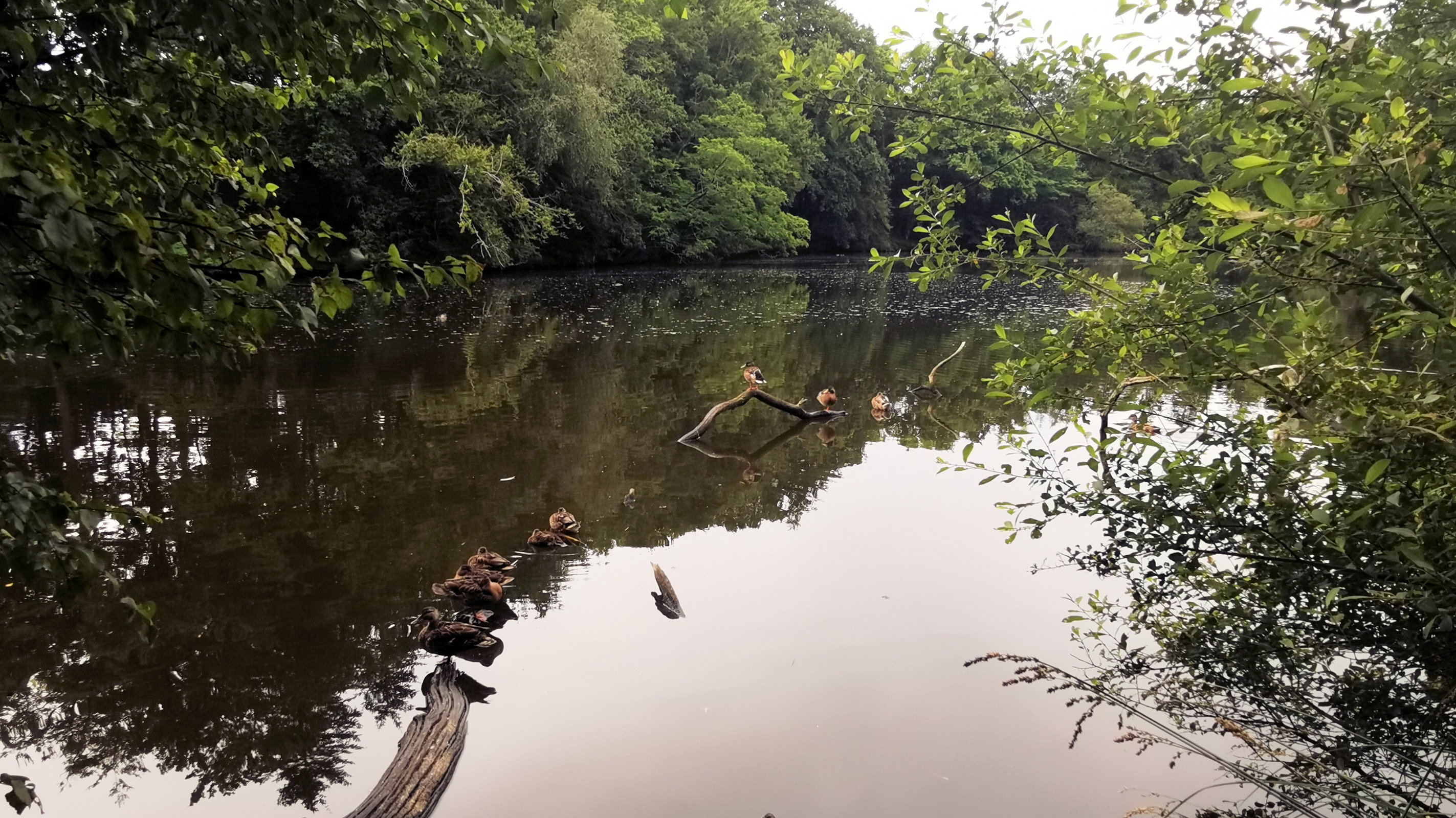 02-IMG_20210628_102237