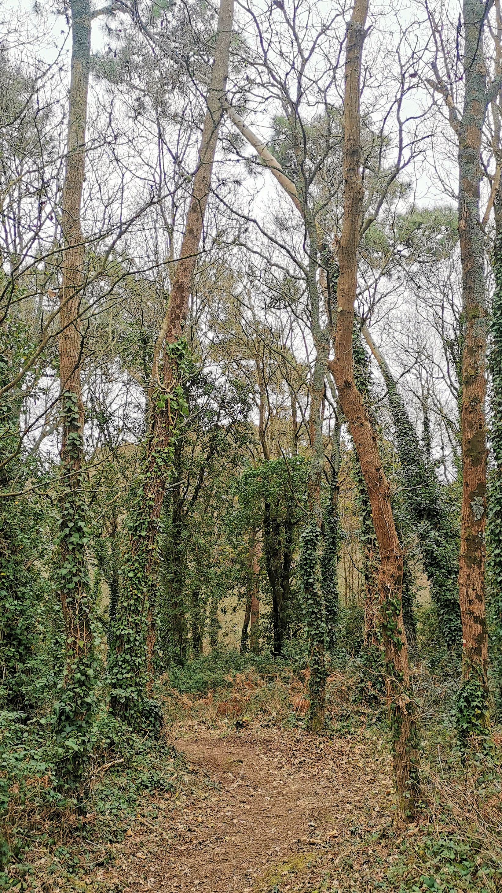 24-IMG_20210321_100650