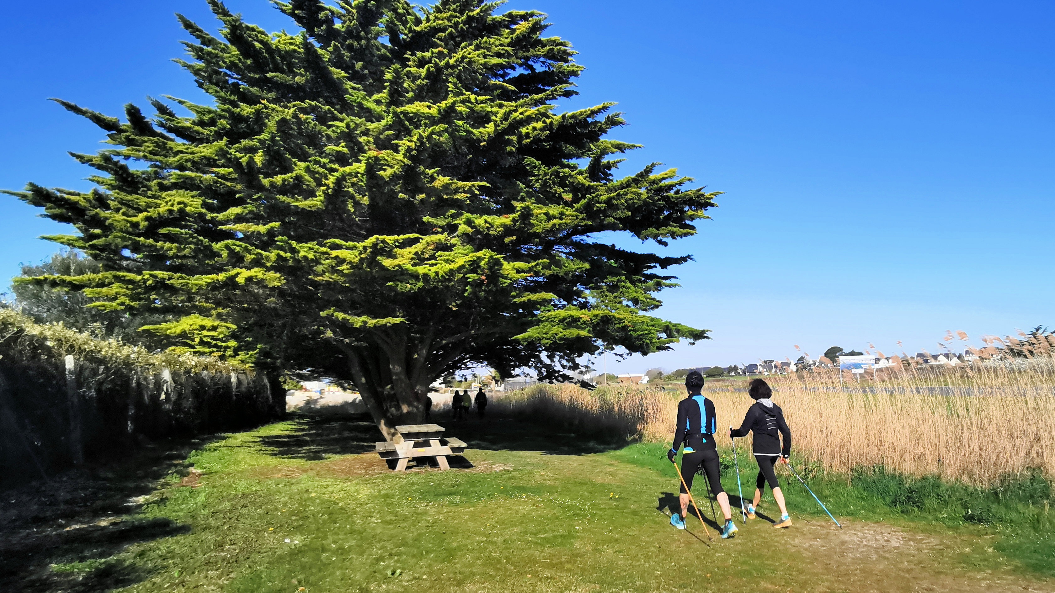 28-IMG_20210403_104756