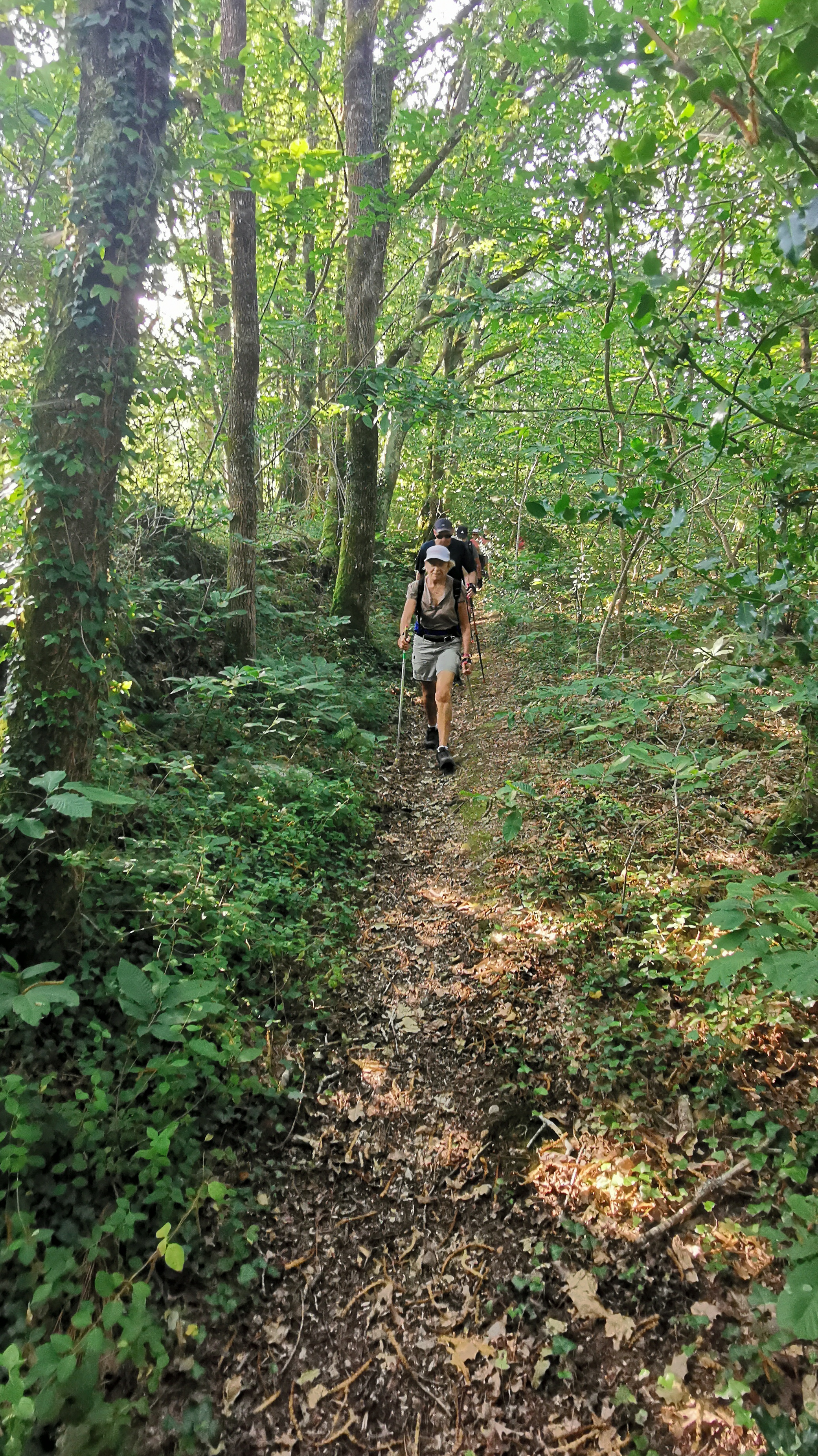 27-IMG_20210722_100119_1