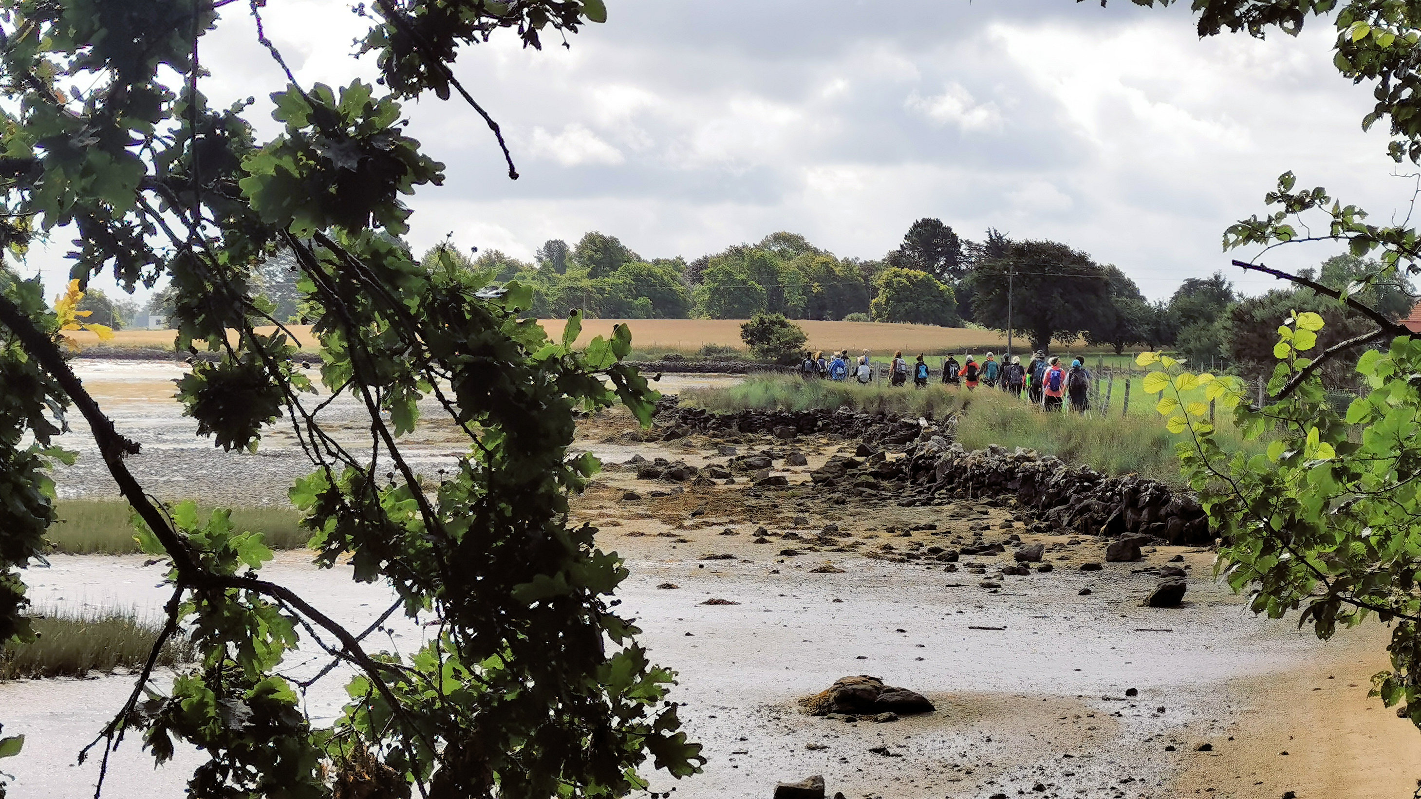 065-IMG_20210704_103639