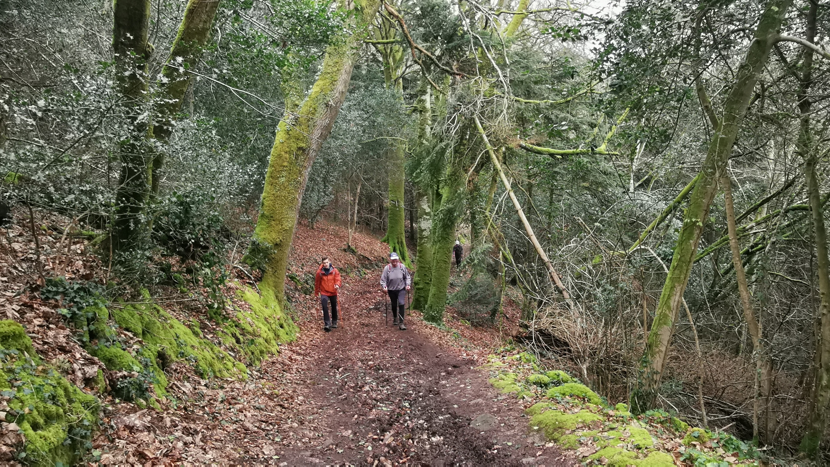 130-IMG_20210220_122054