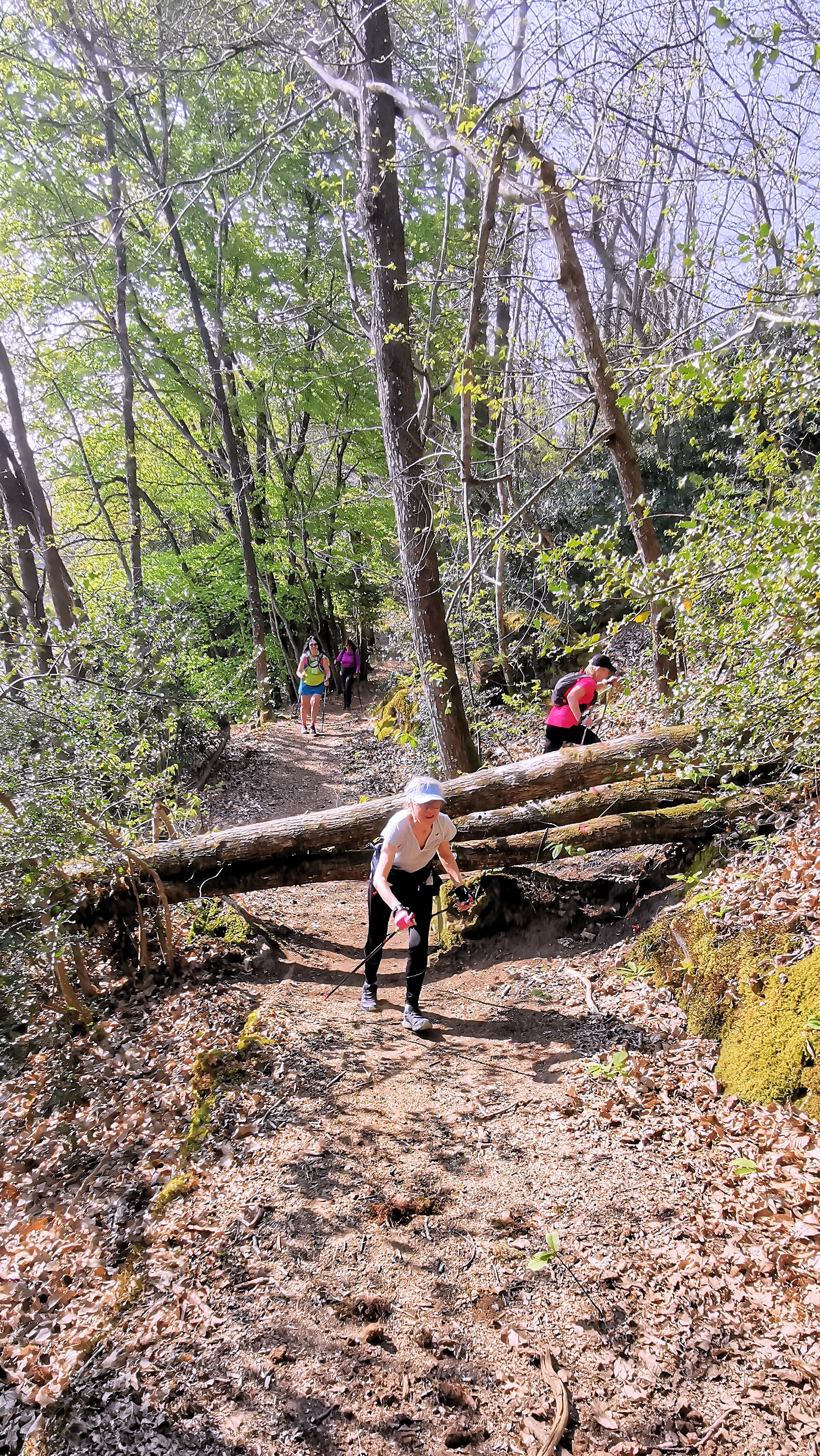 19-IMG_20210422_104753