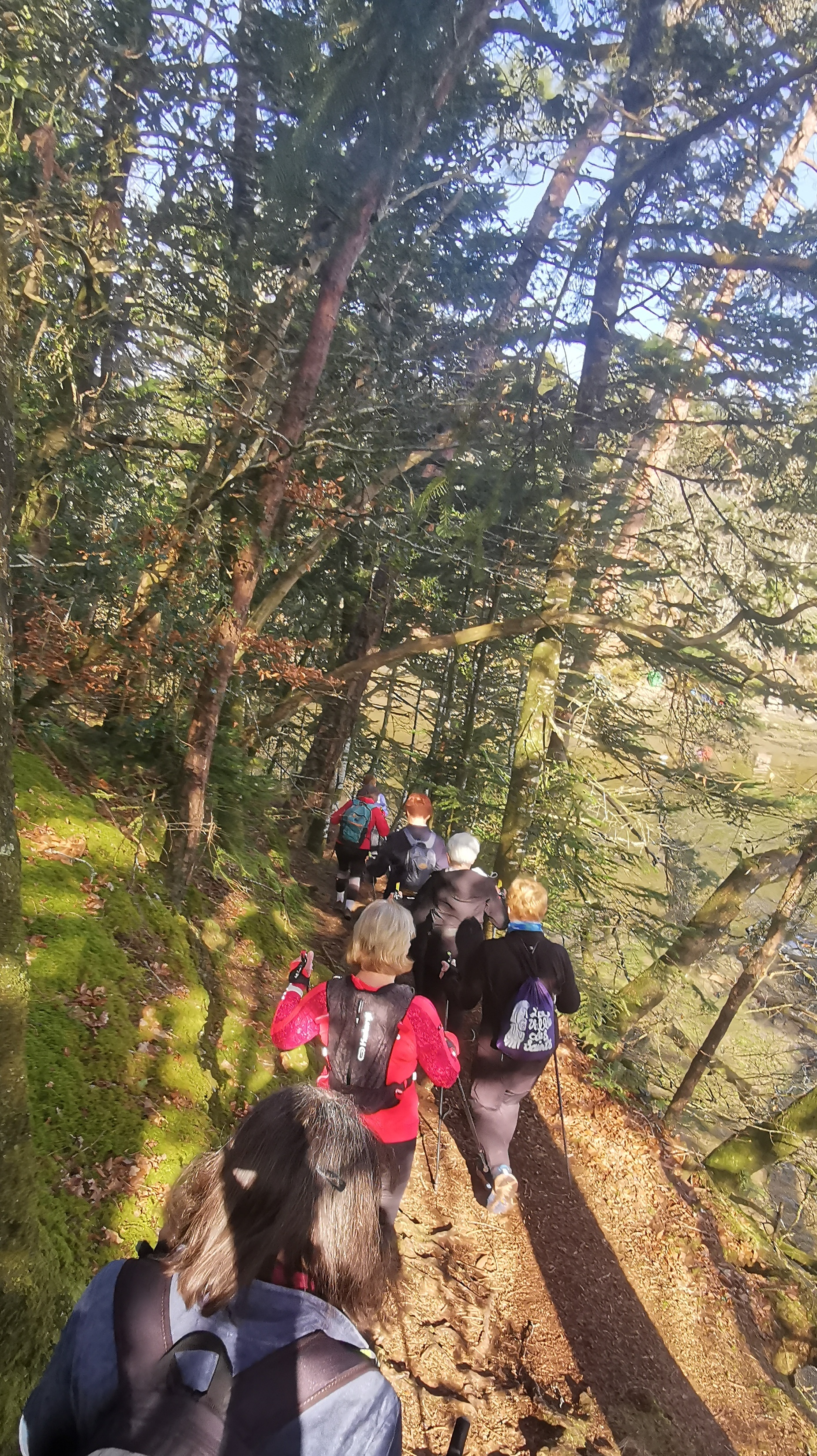 38-IMG_20210318_103106_1