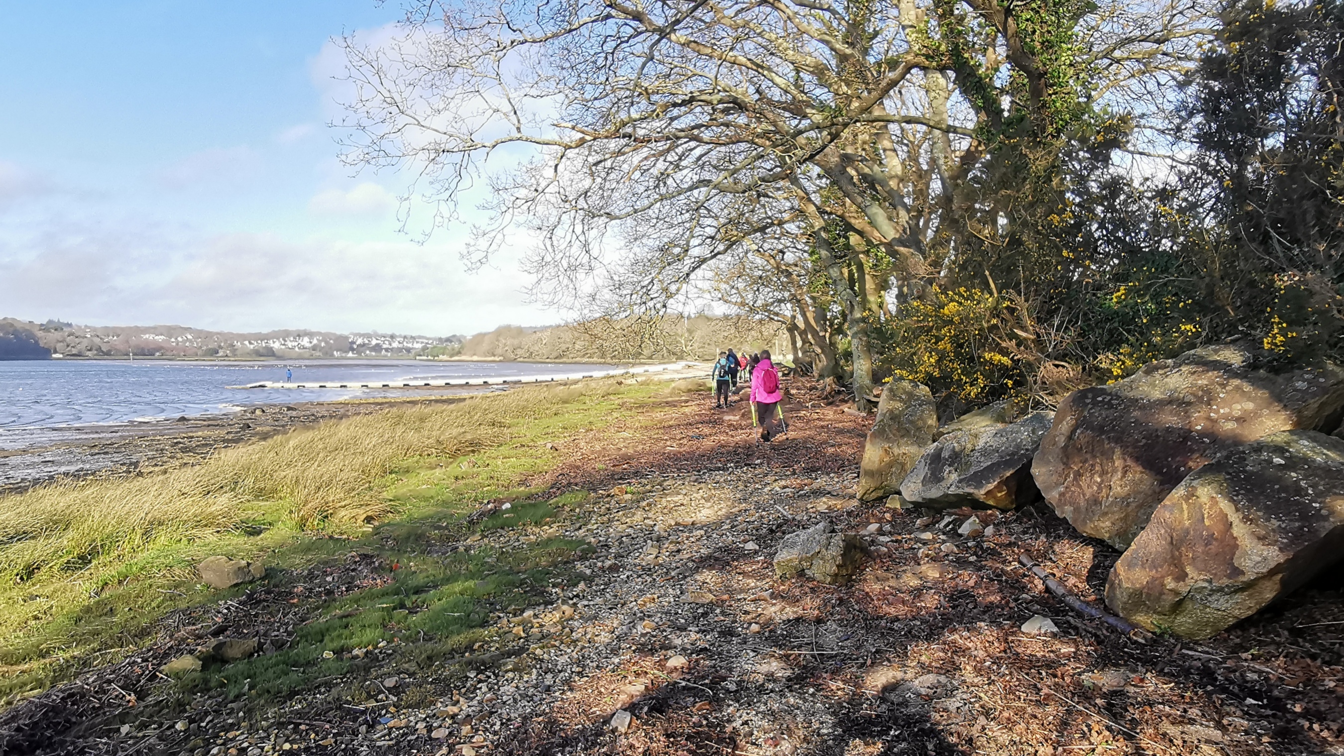 36-IMG_20210223_103142