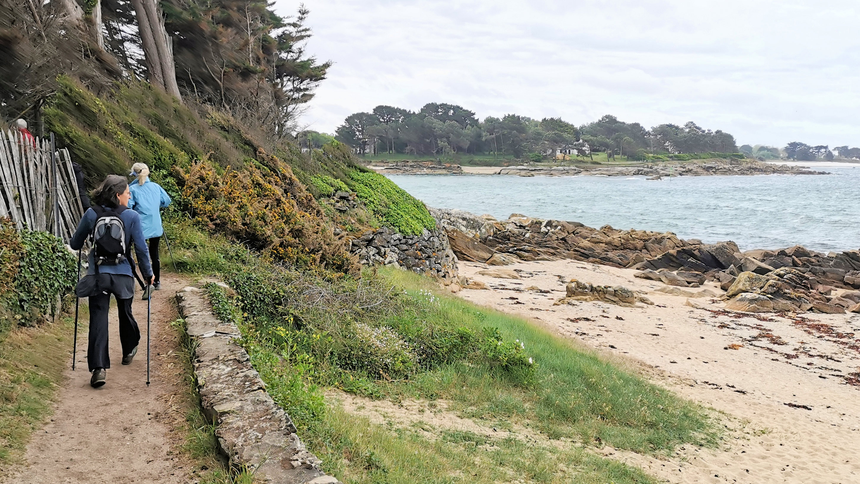 15-IMG_20210520_095741_1