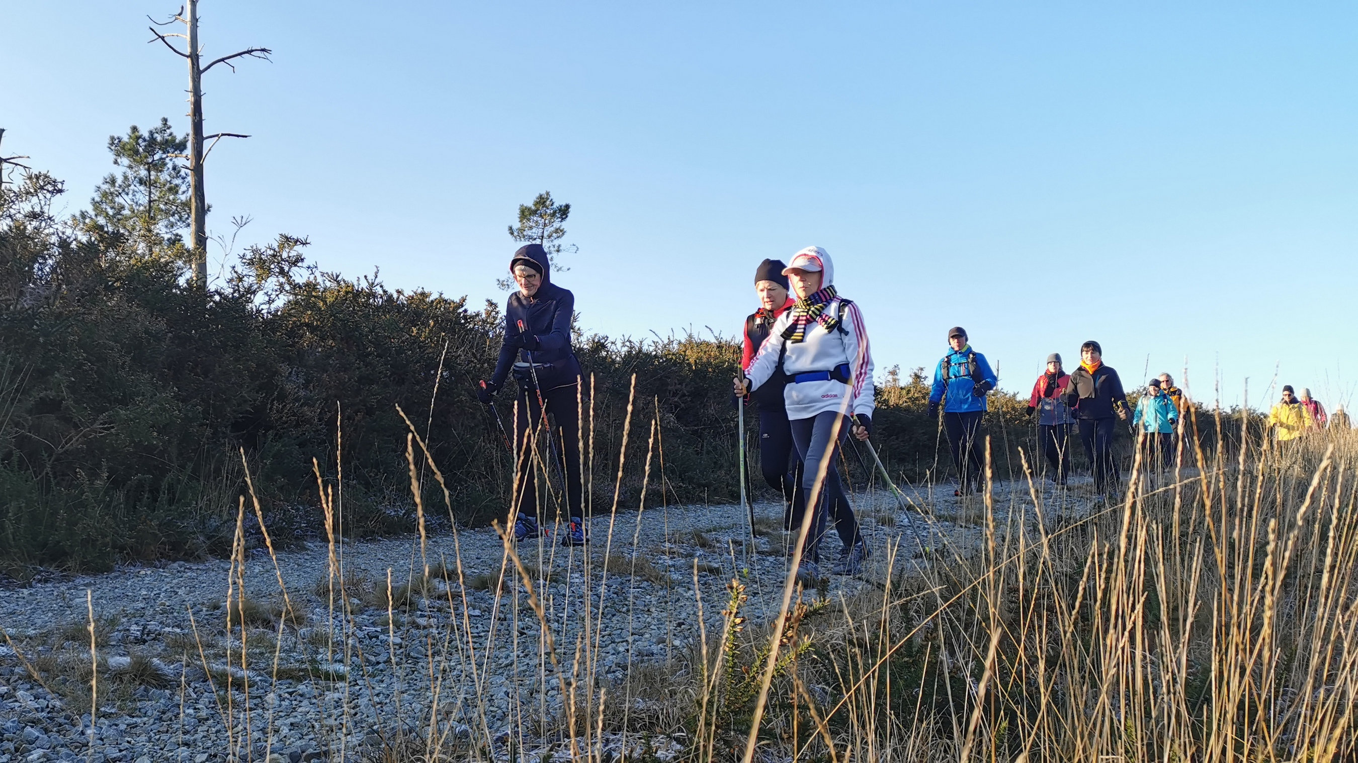 049-IMG_20210110_103603_1