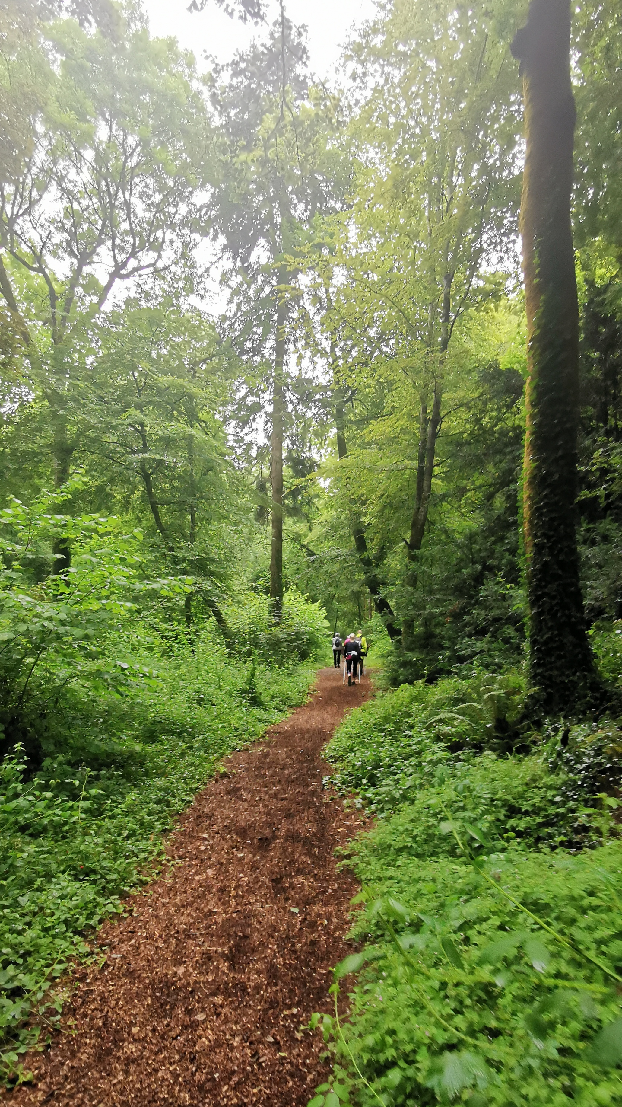 20-IMG_20210617_103712