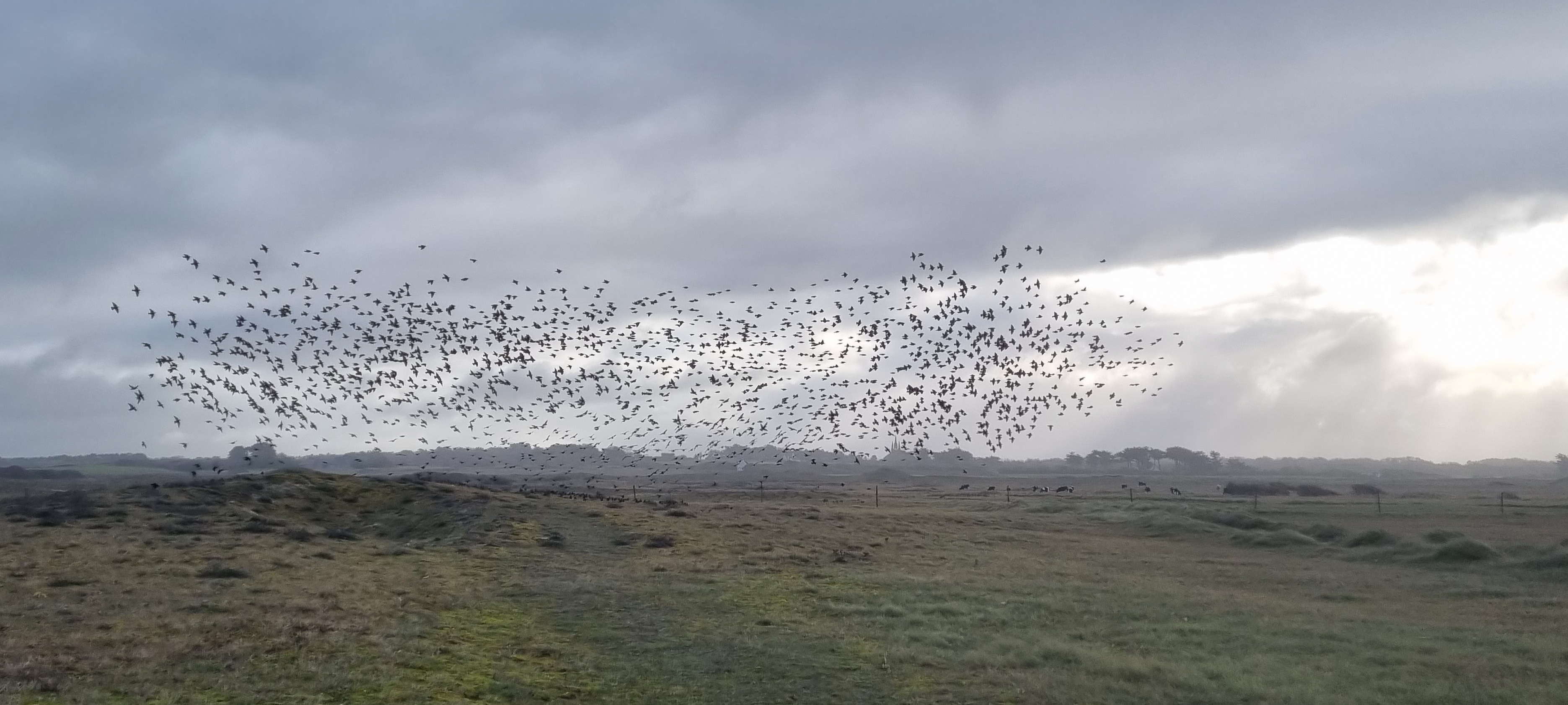 51-20211021_101913(0)