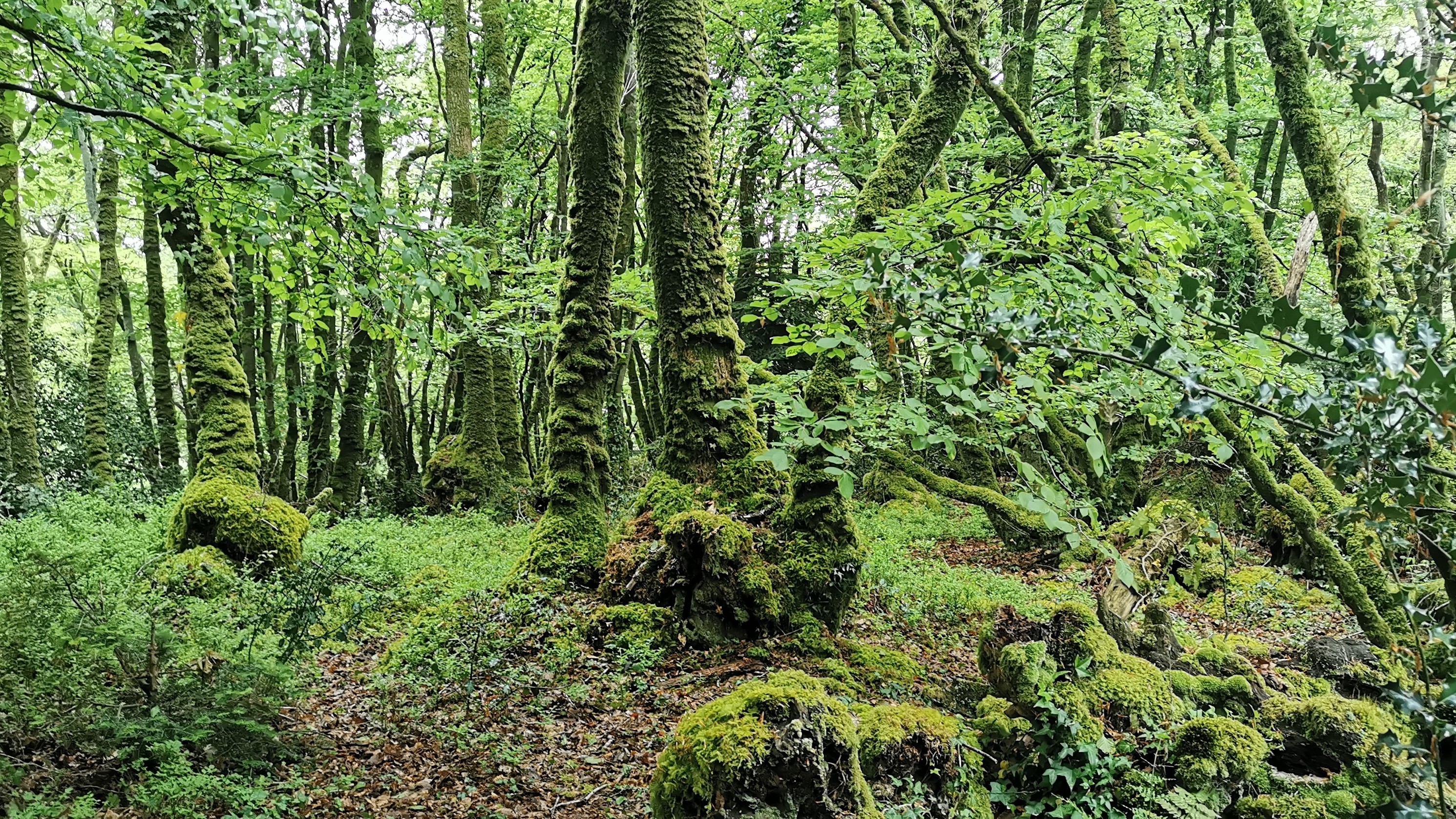 33-IMG_20210508_103928