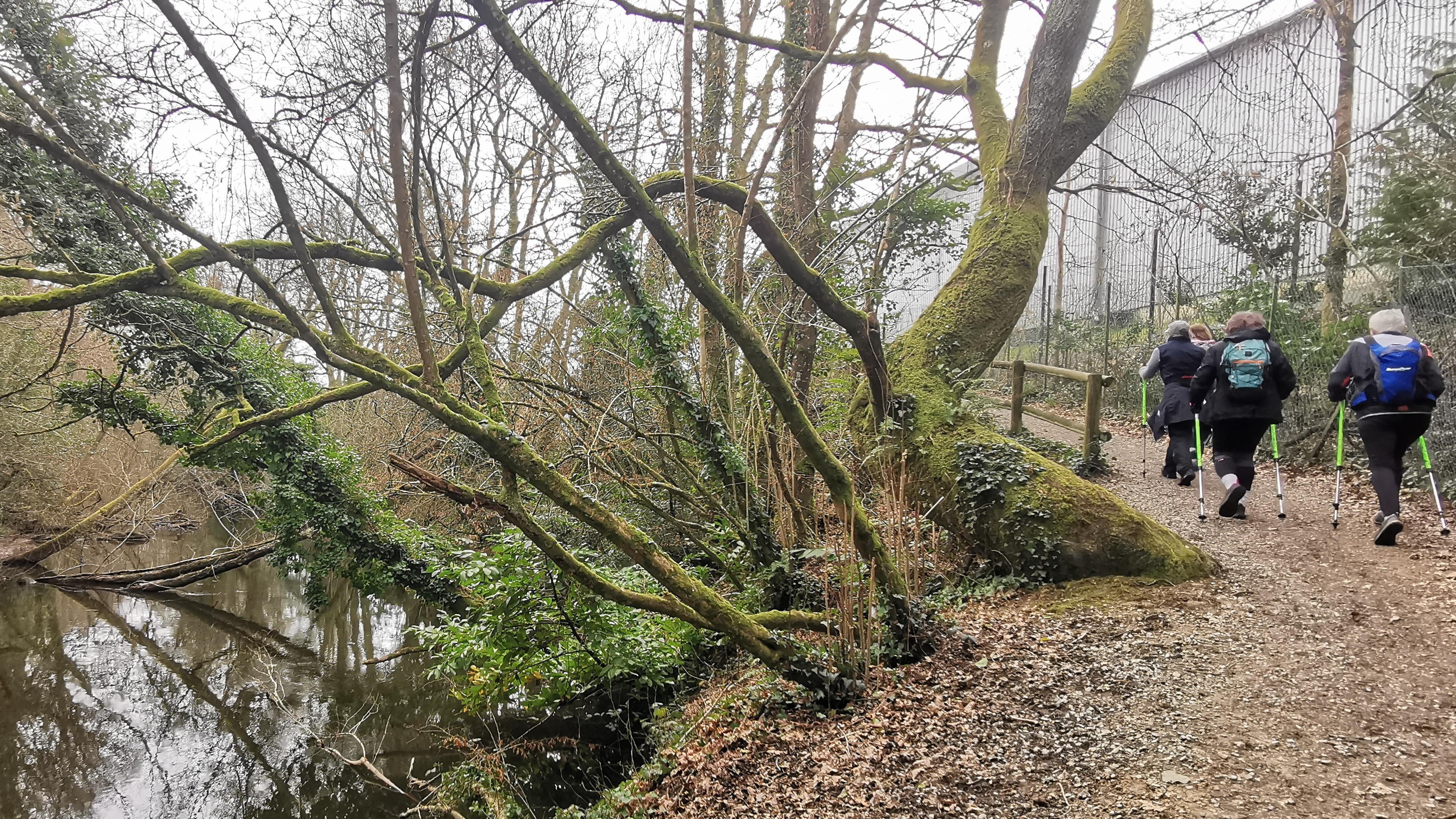 46-IMG_20210316_110236