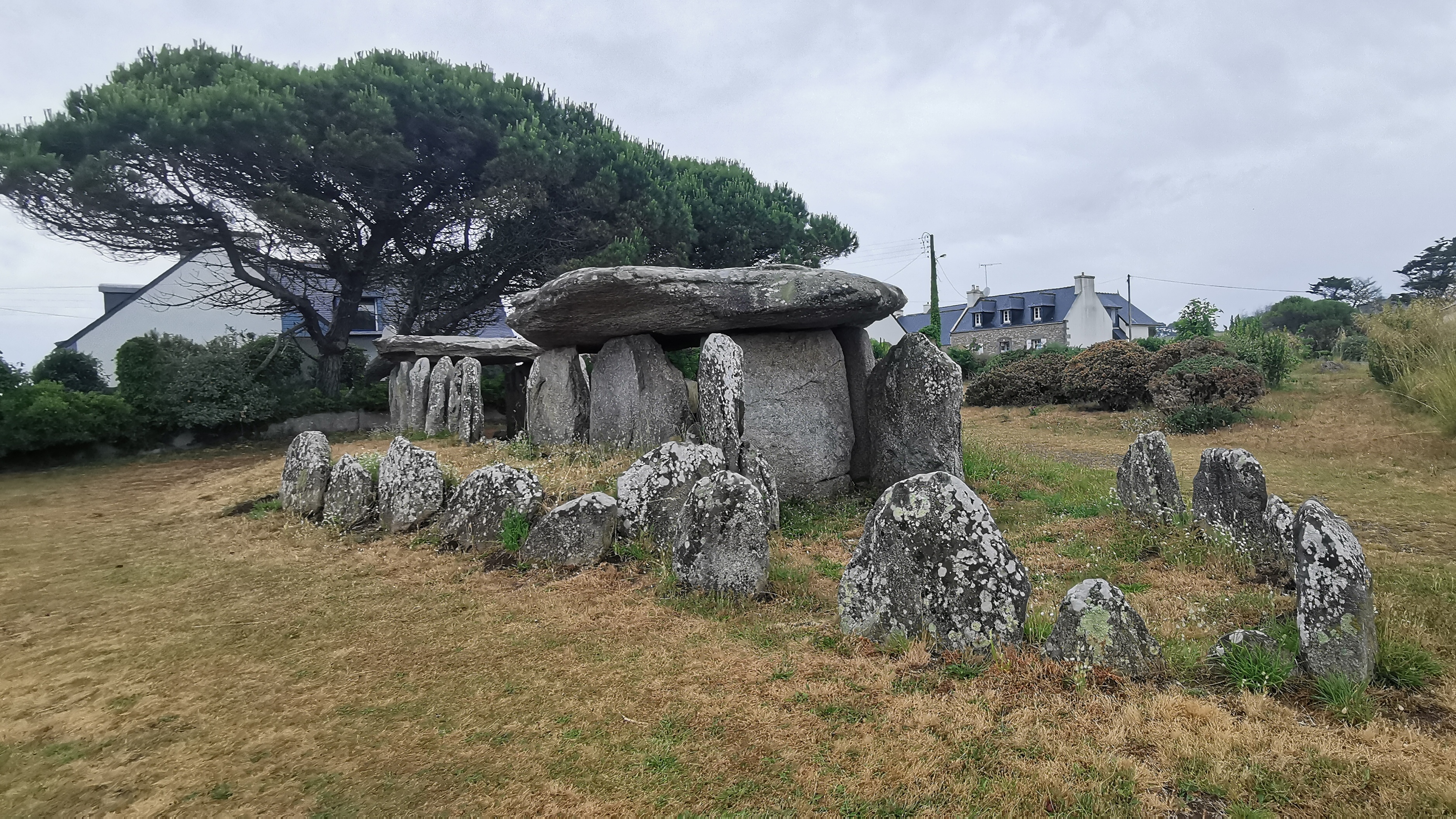 006-IMG_20210620_094217_1