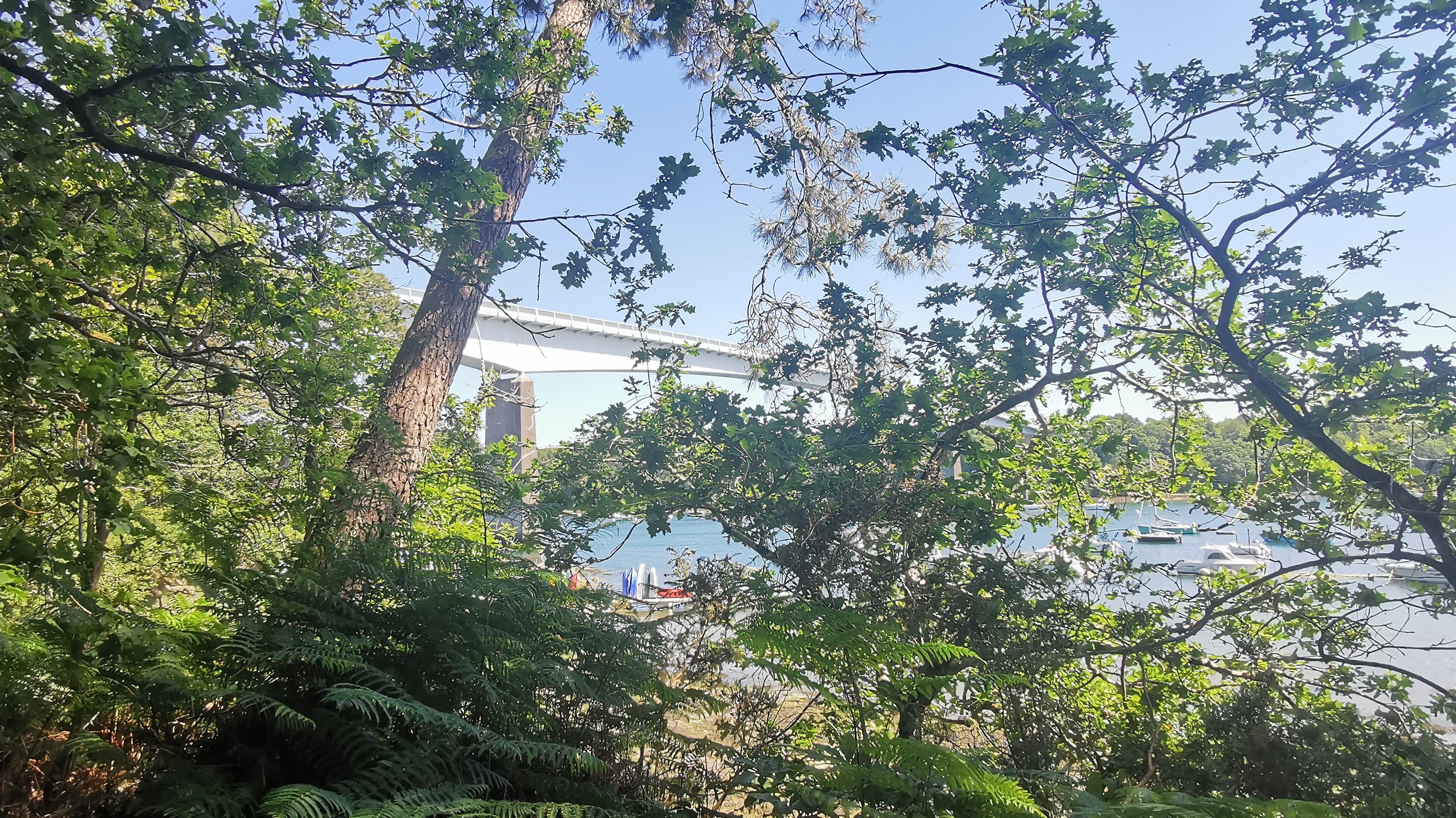 32-IMG_20210614_112305