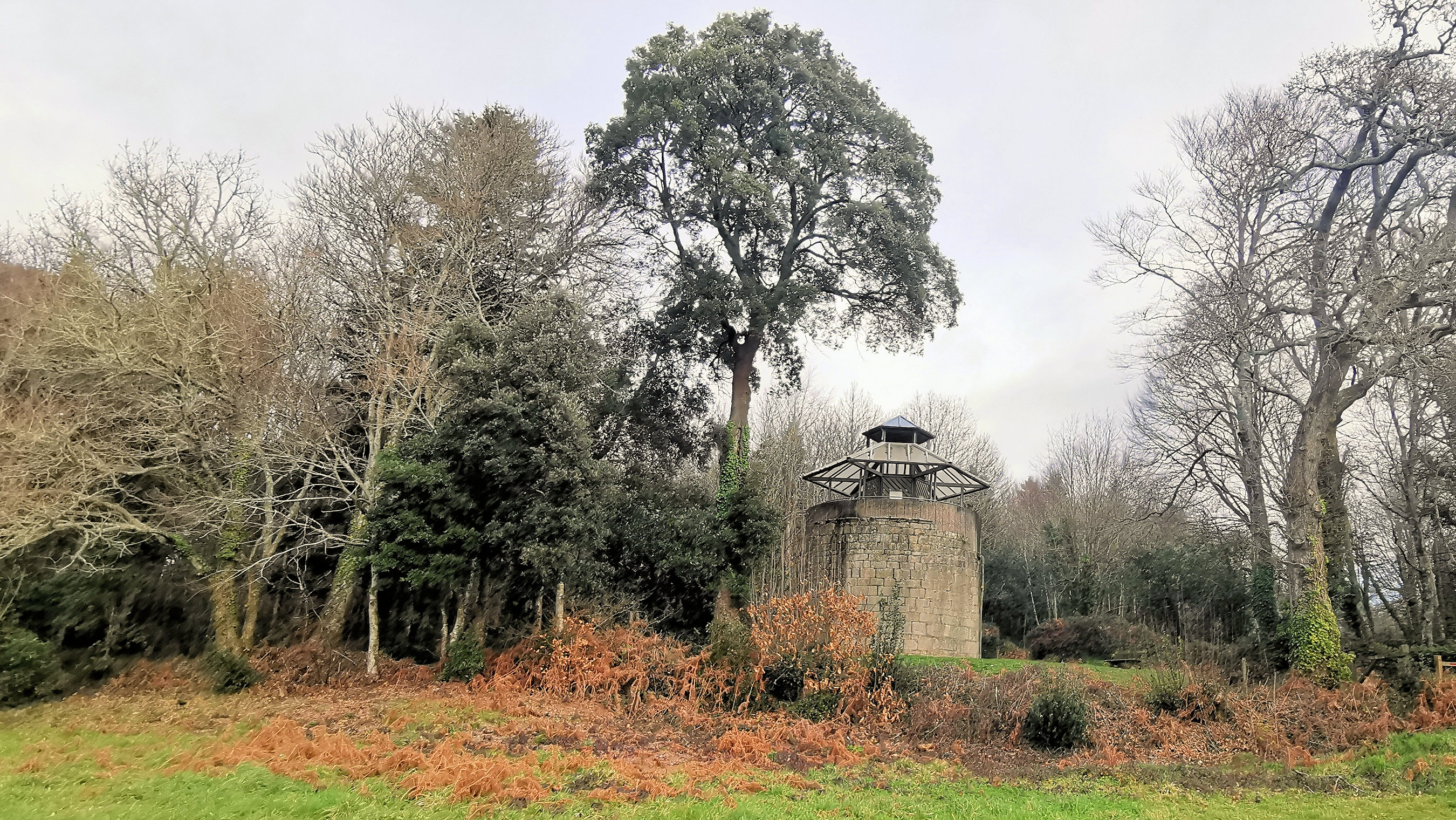 28-IMG_20210118_114627