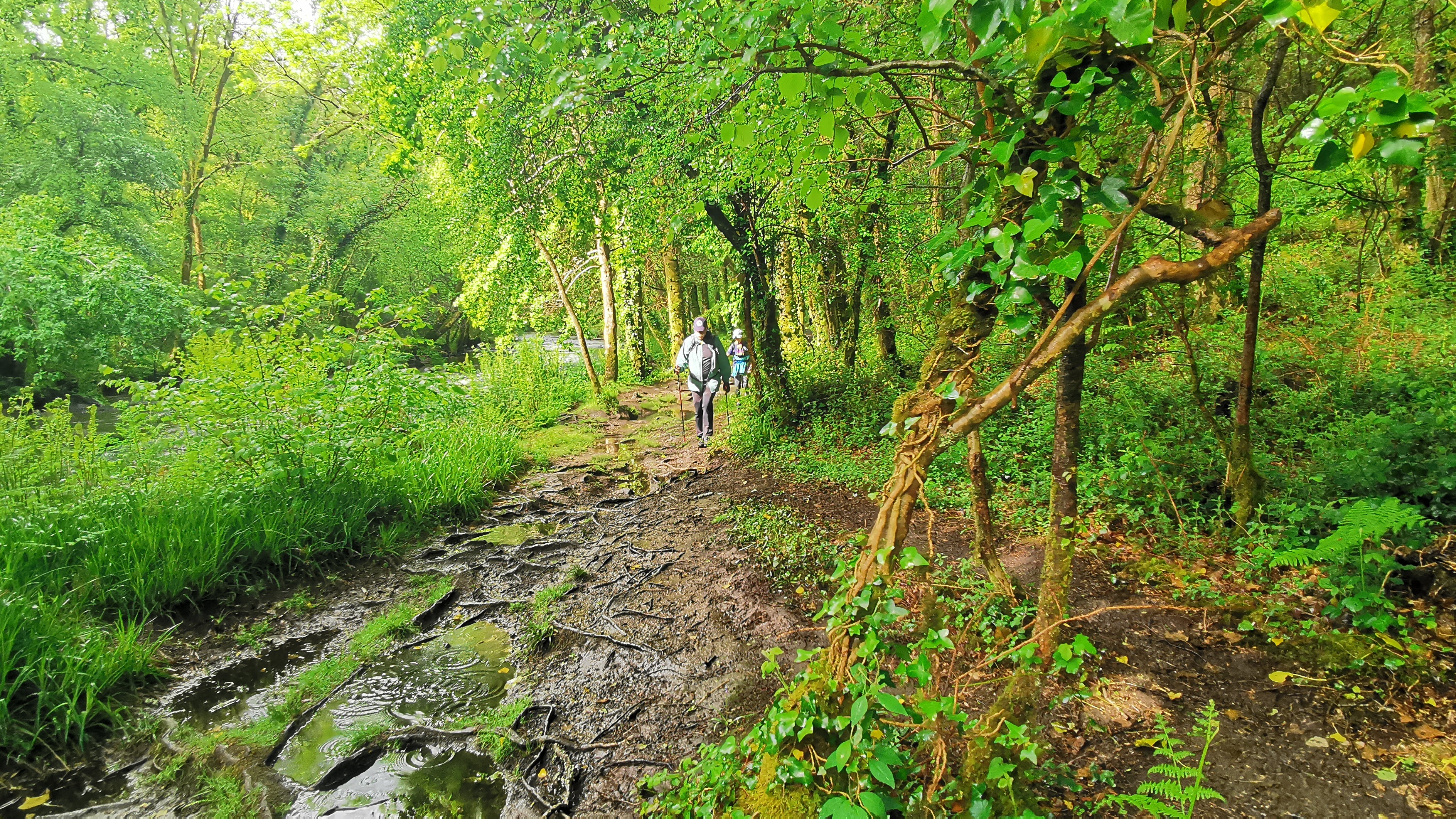 042-IMG_20210513_102147