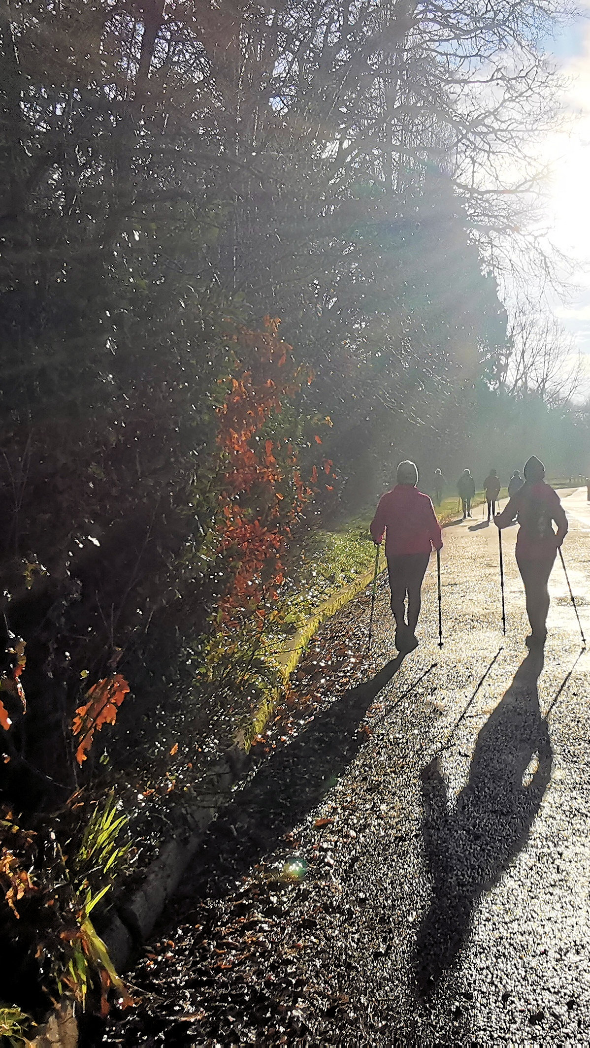 15-IMG_20210105_110914