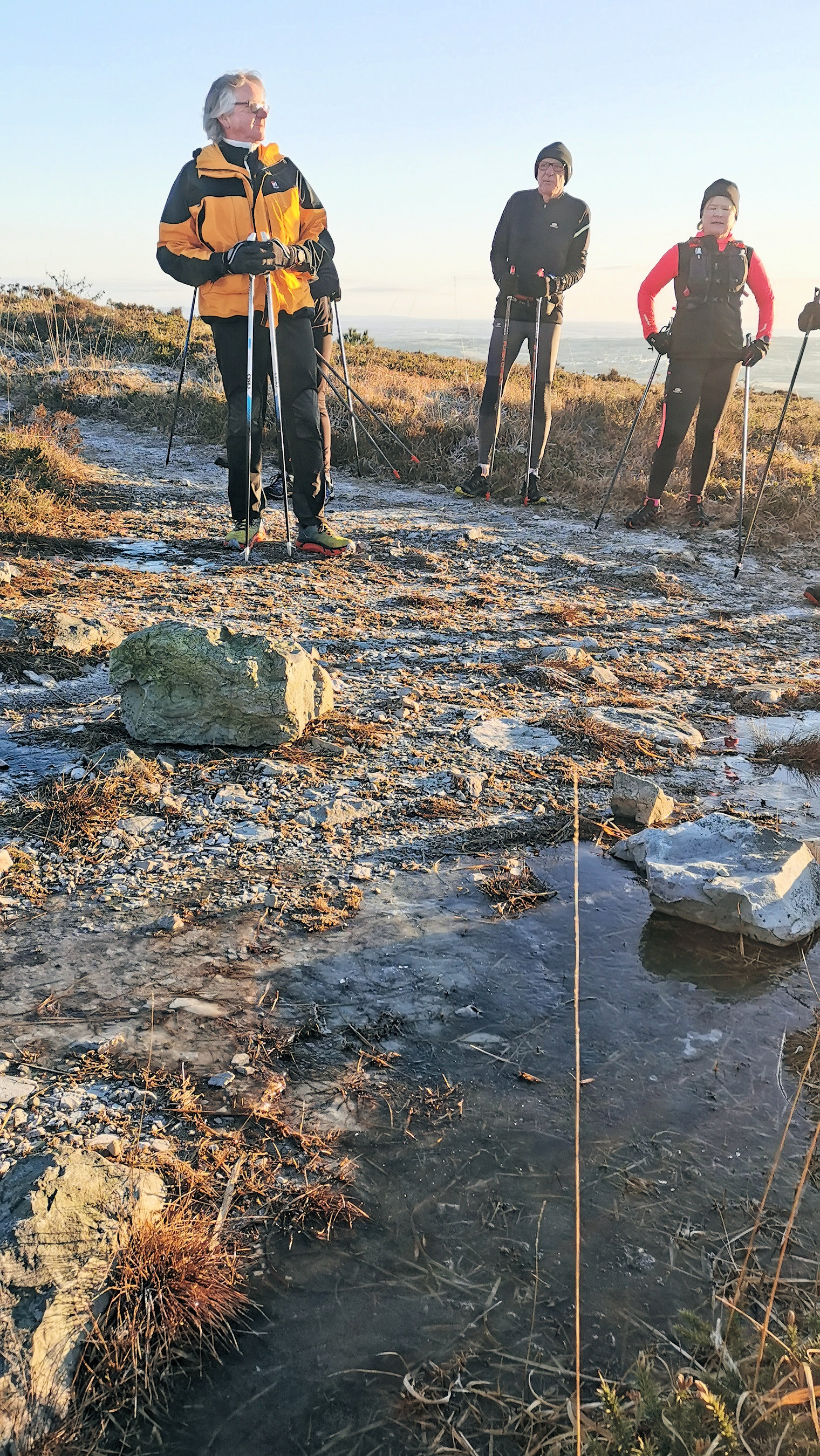 016-IMG_20210110_095428