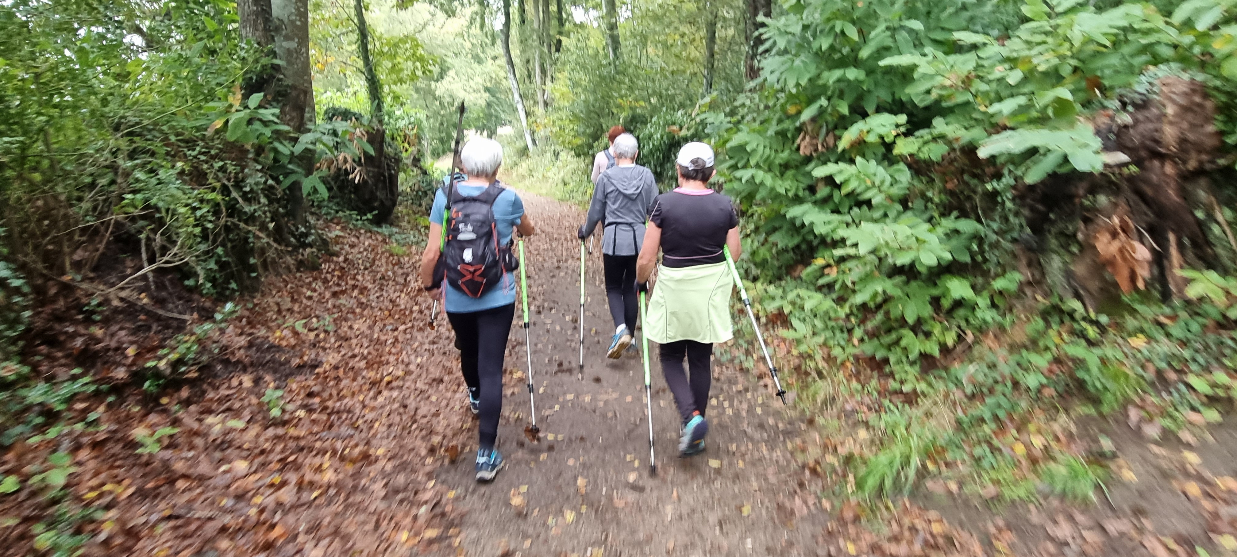 15-20211019_110711(0)