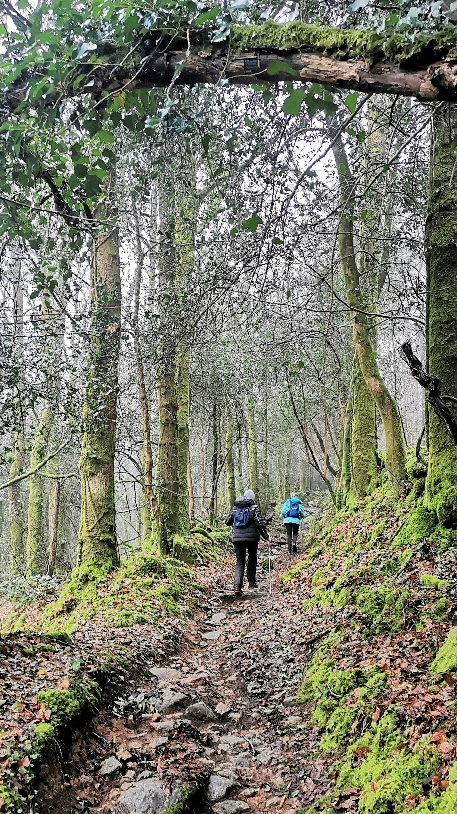 25-IMG_20210214_111431