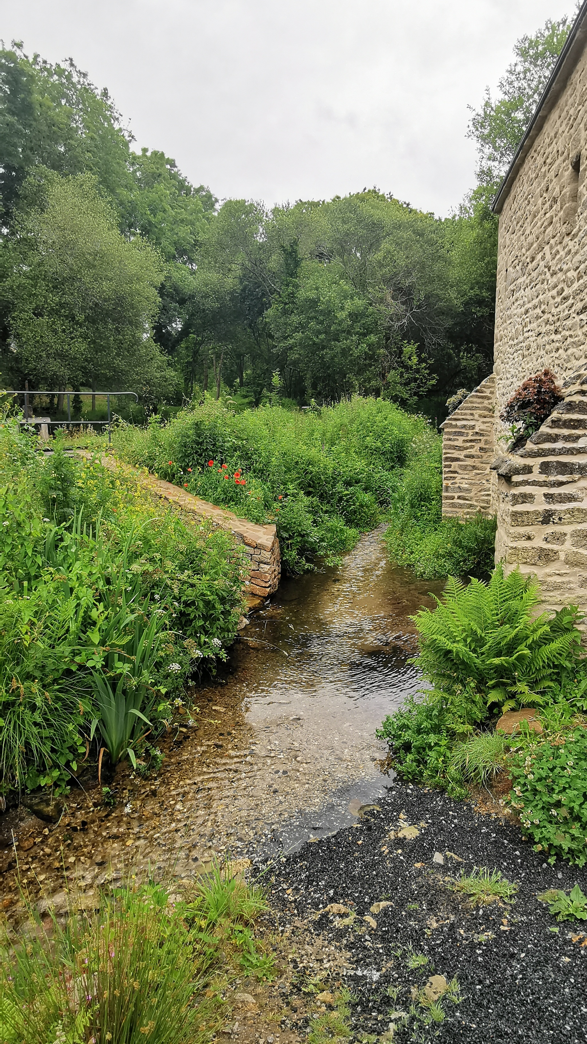 103-IMG_20210620_105734