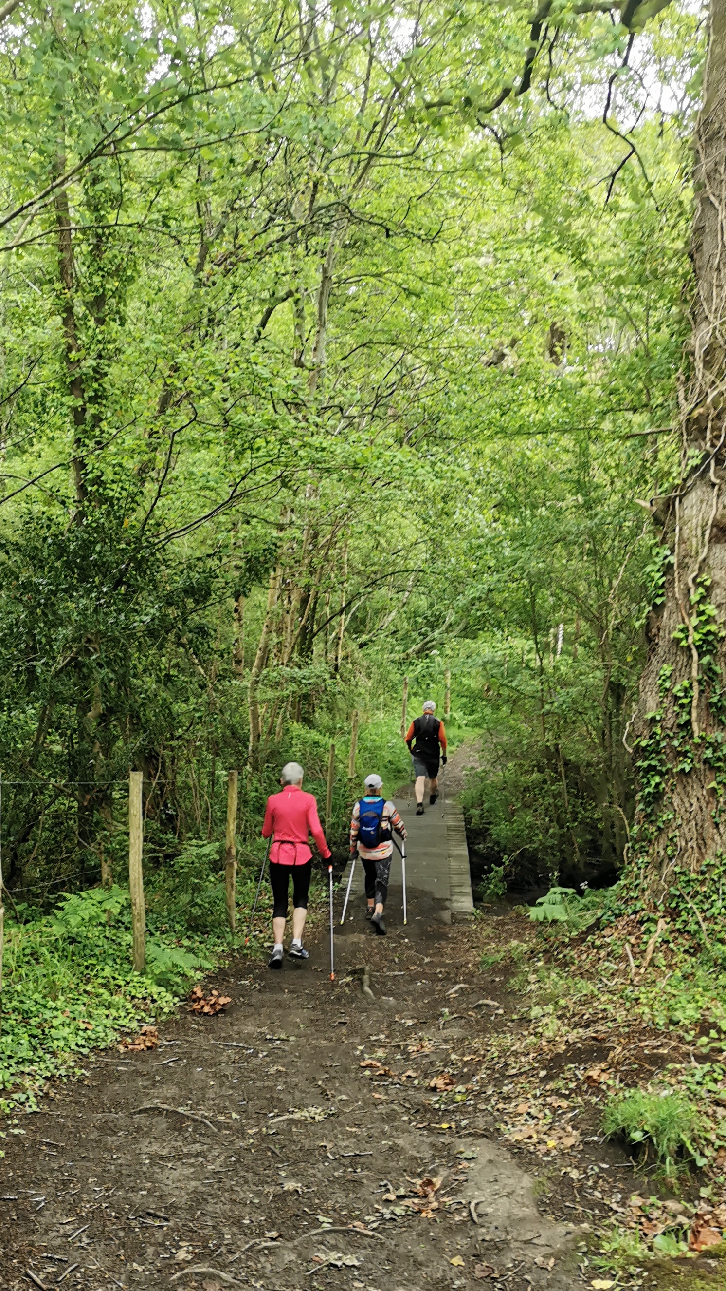 01-IMG_20210527_093951