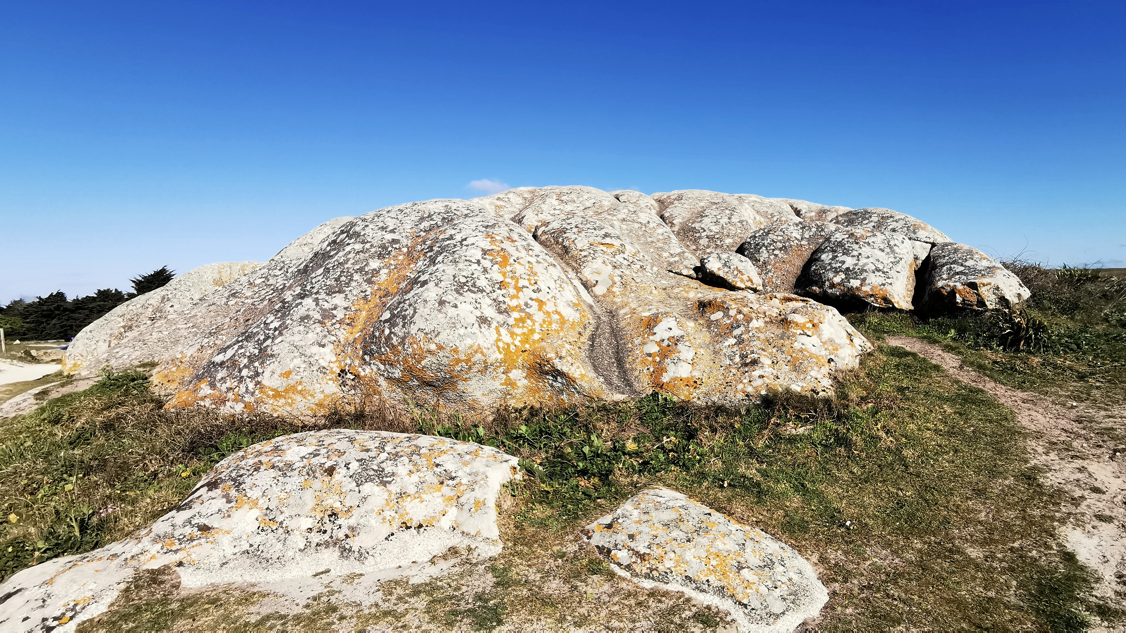 38-IMG_20210403_105810_1