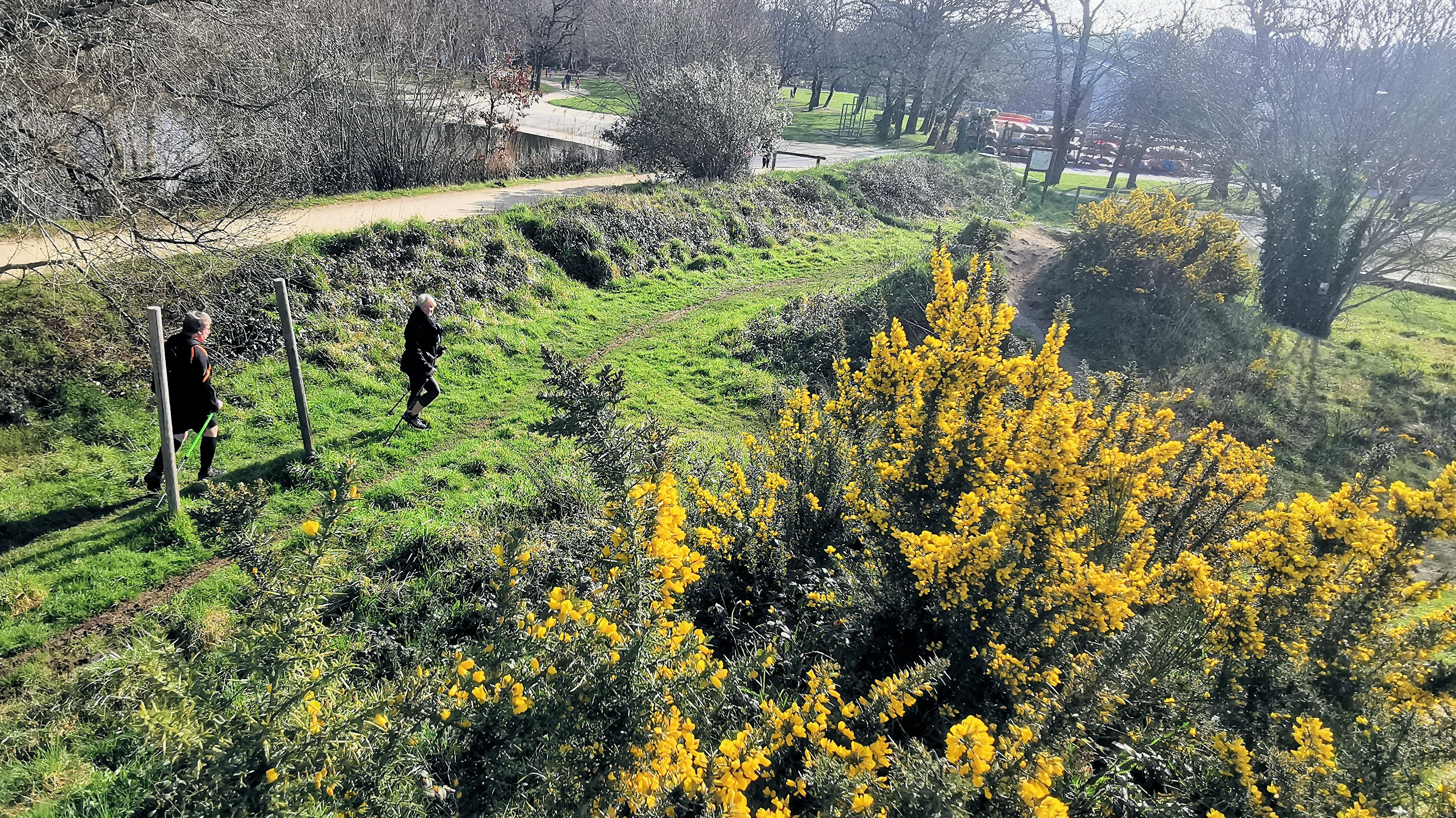 33-IMG_20210301_110424