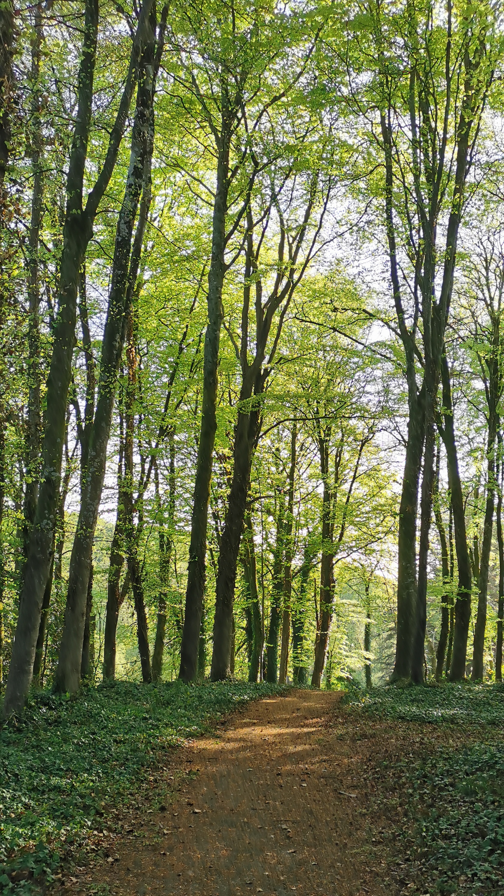 04-IMG_20210425_094902