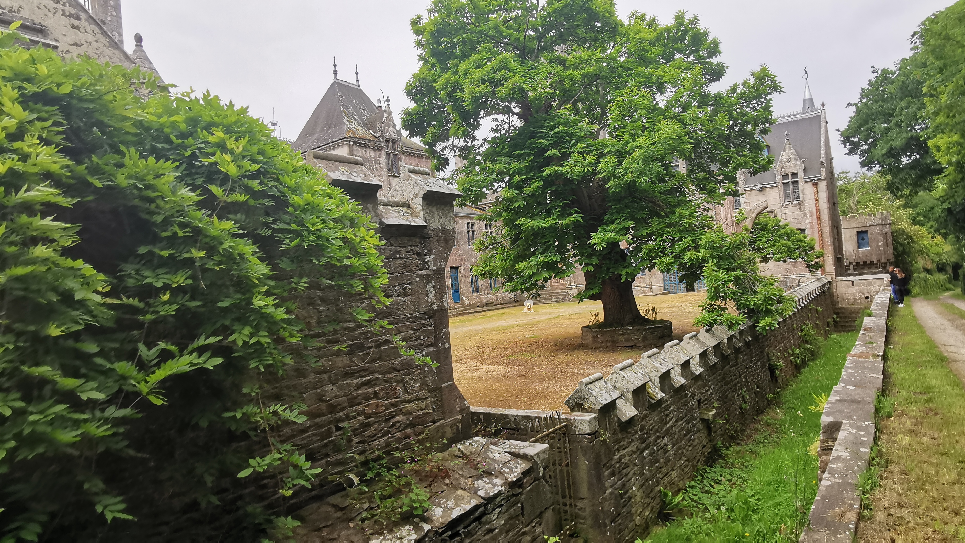 073-IMG_20210606_110239