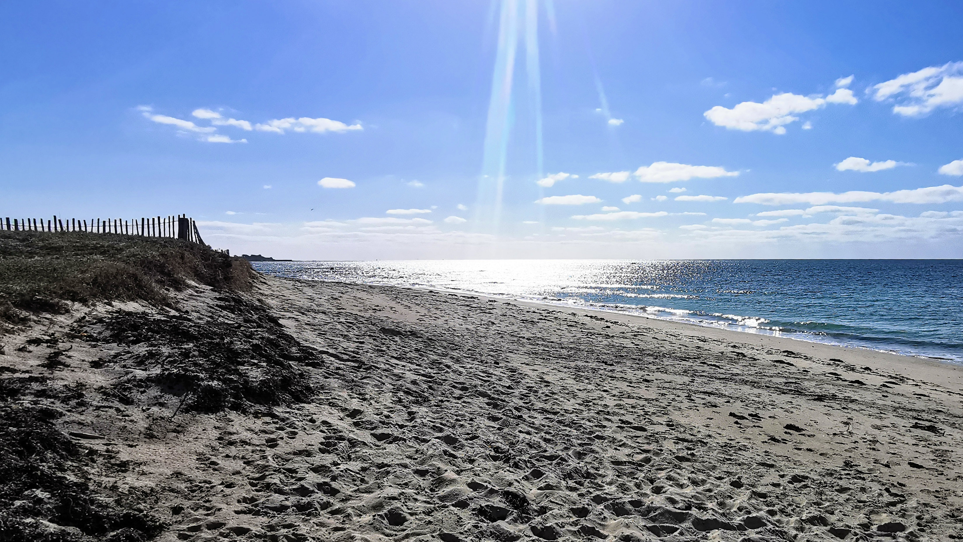 52-IMG_20210403_111948