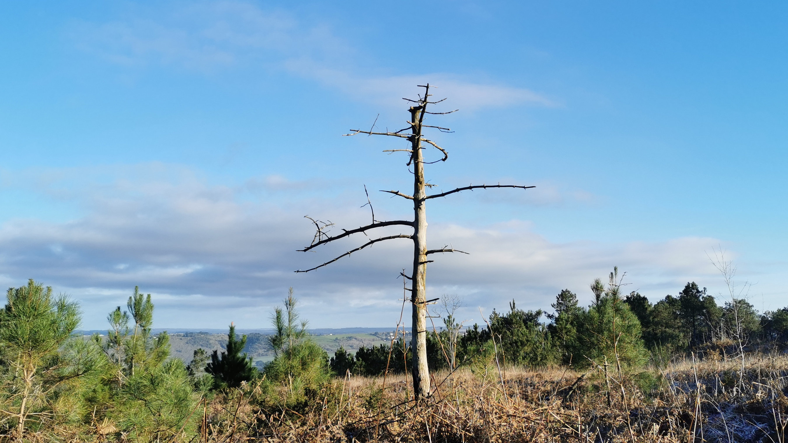 067-IMG_20210110_104509