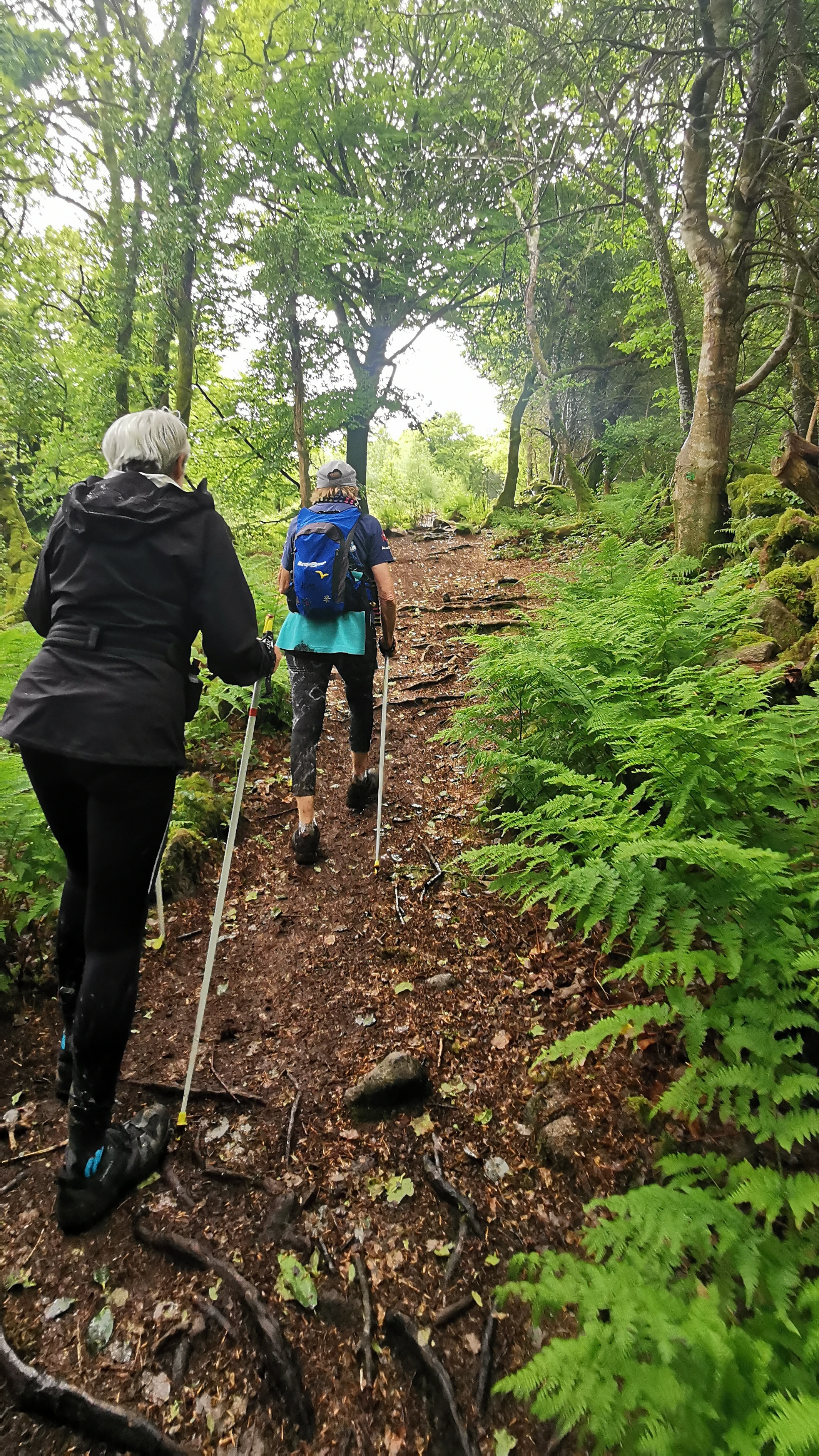 119-IMG_20210513_113129