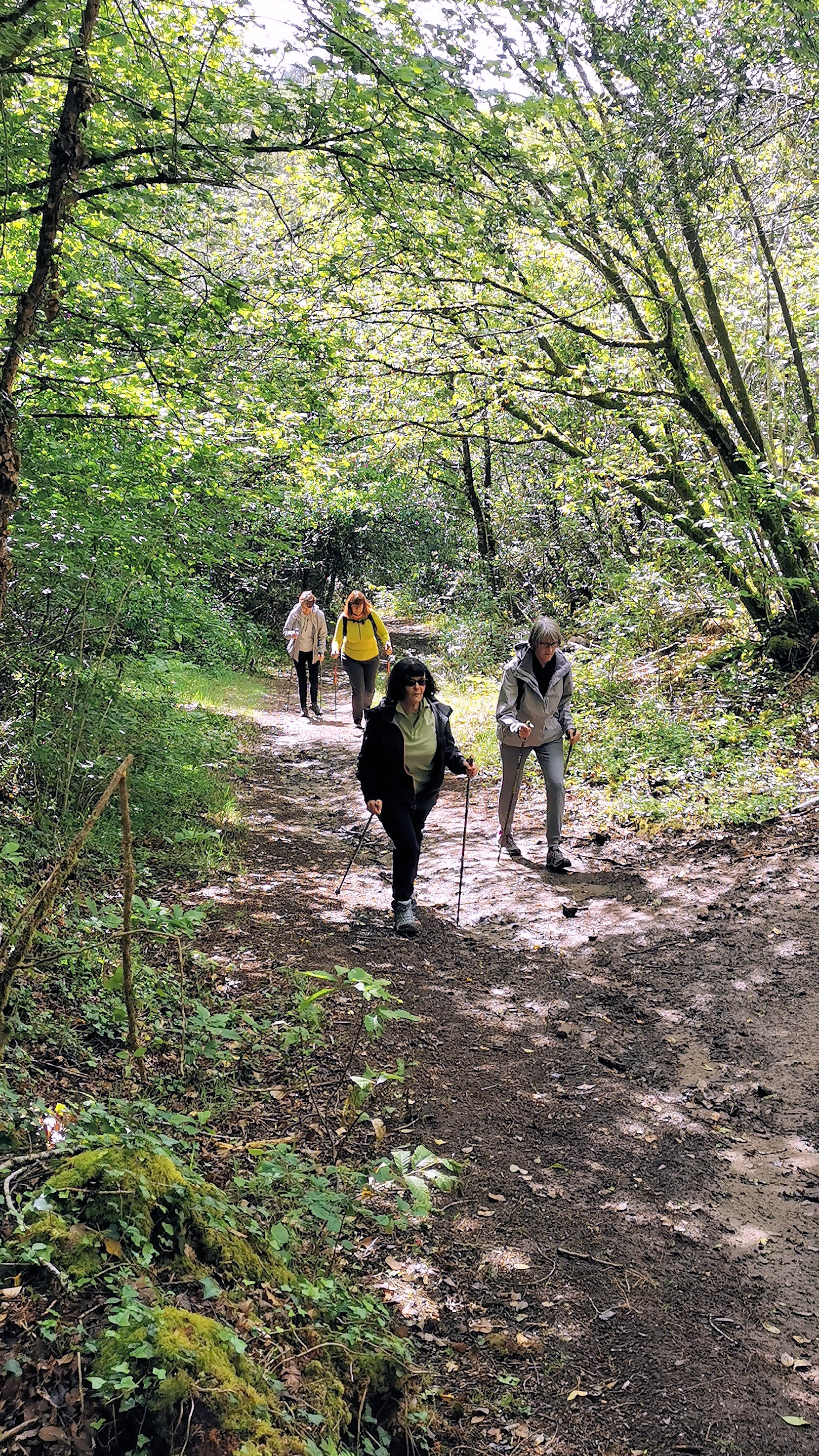 30-IMG_20210522_110133_1