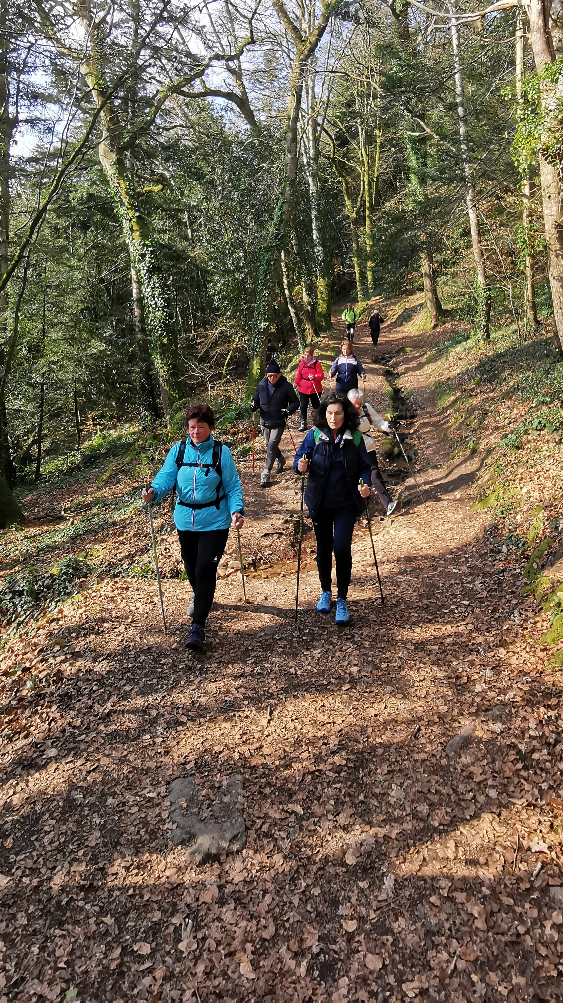 66-IMG_20210308_113452_1