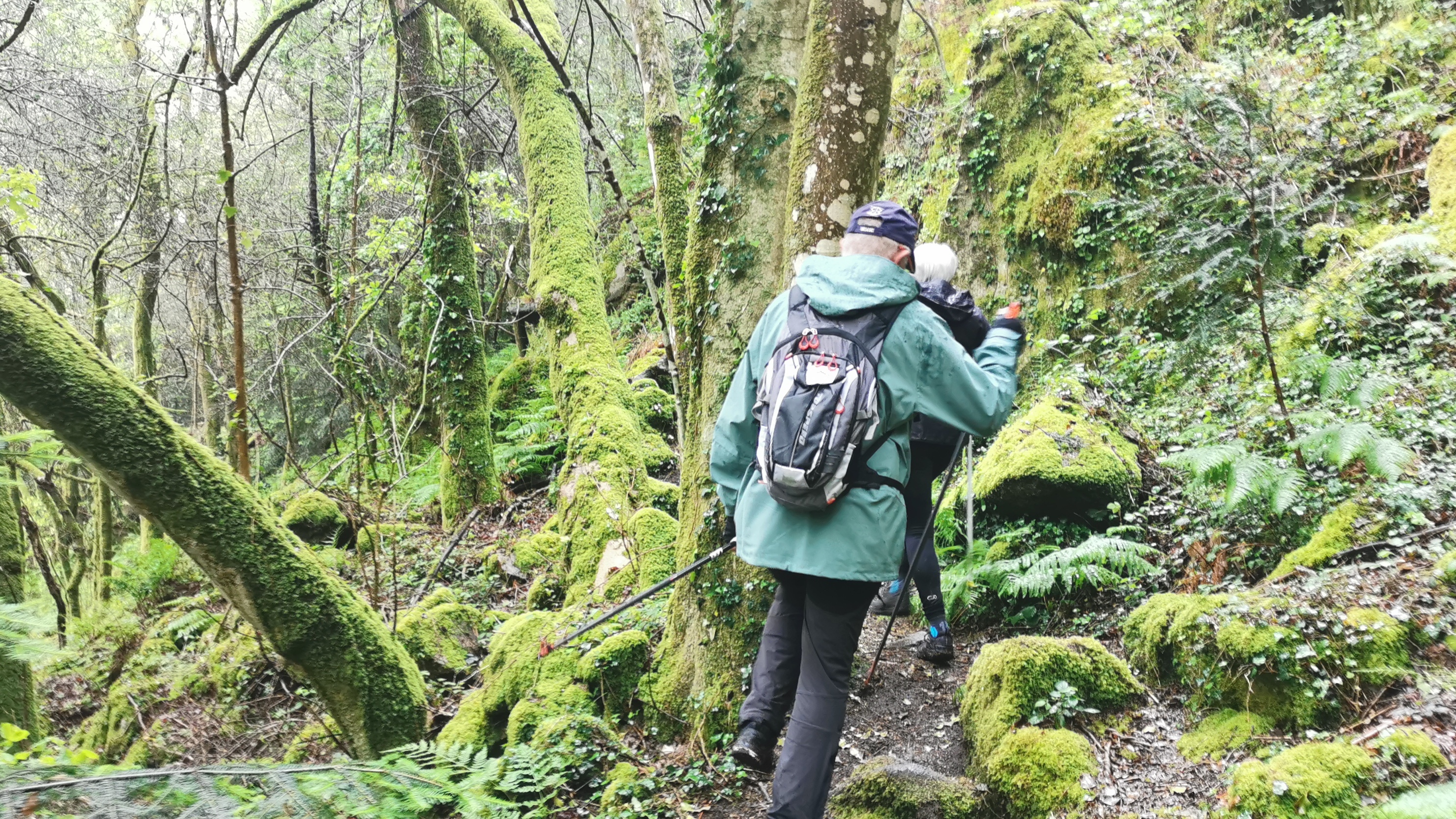 017-IMG_20210513_095055