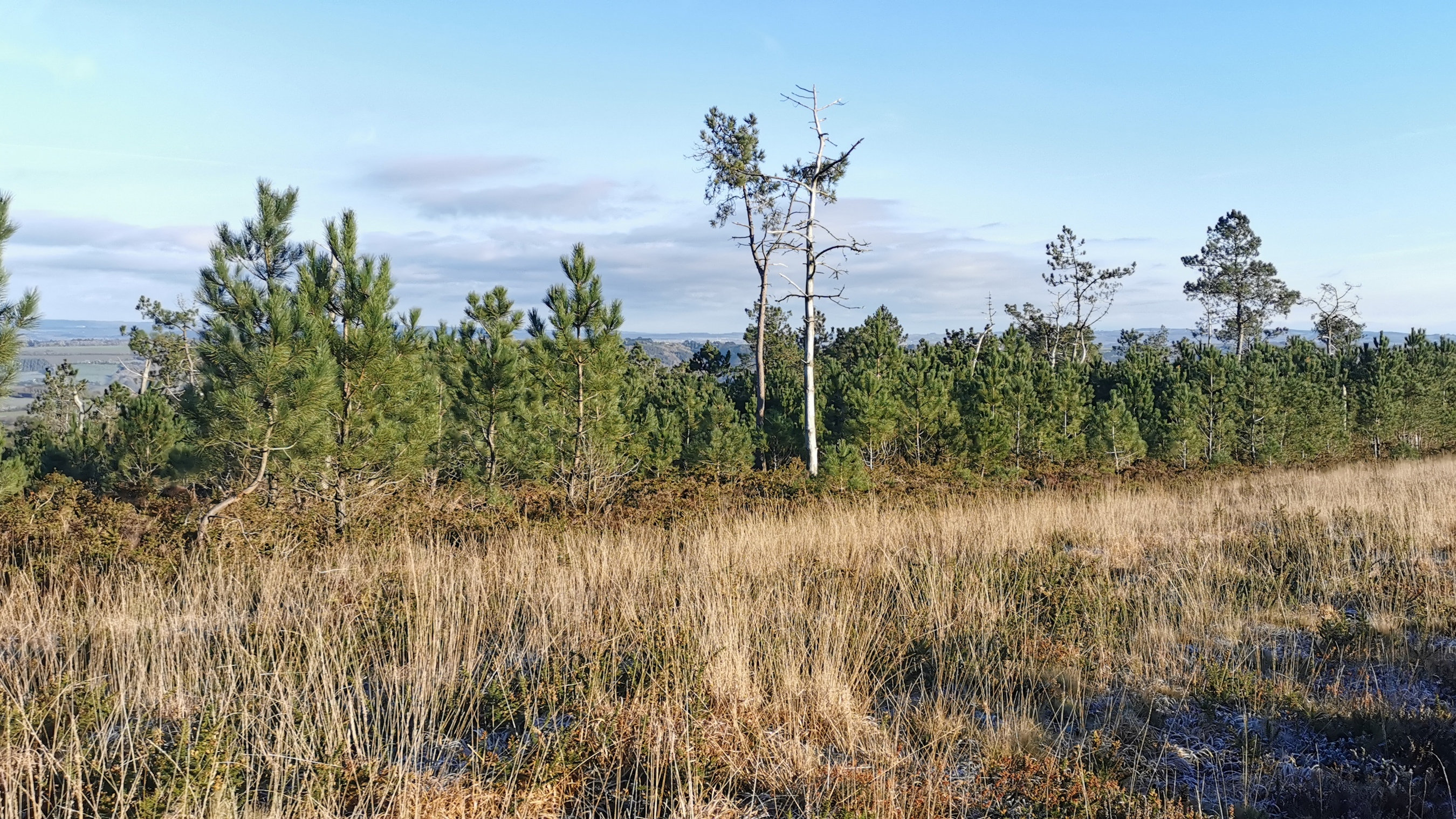 050-IMG_20210110_103700