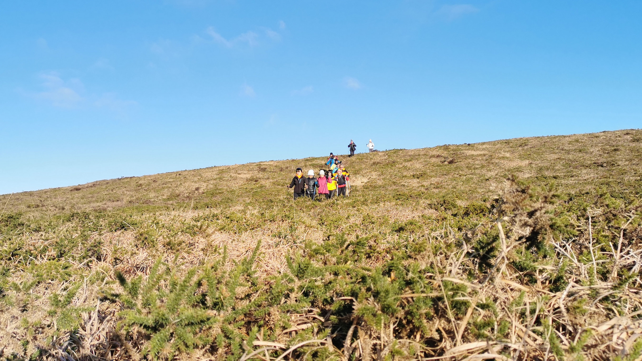 135-IMG_20210110_112627_1