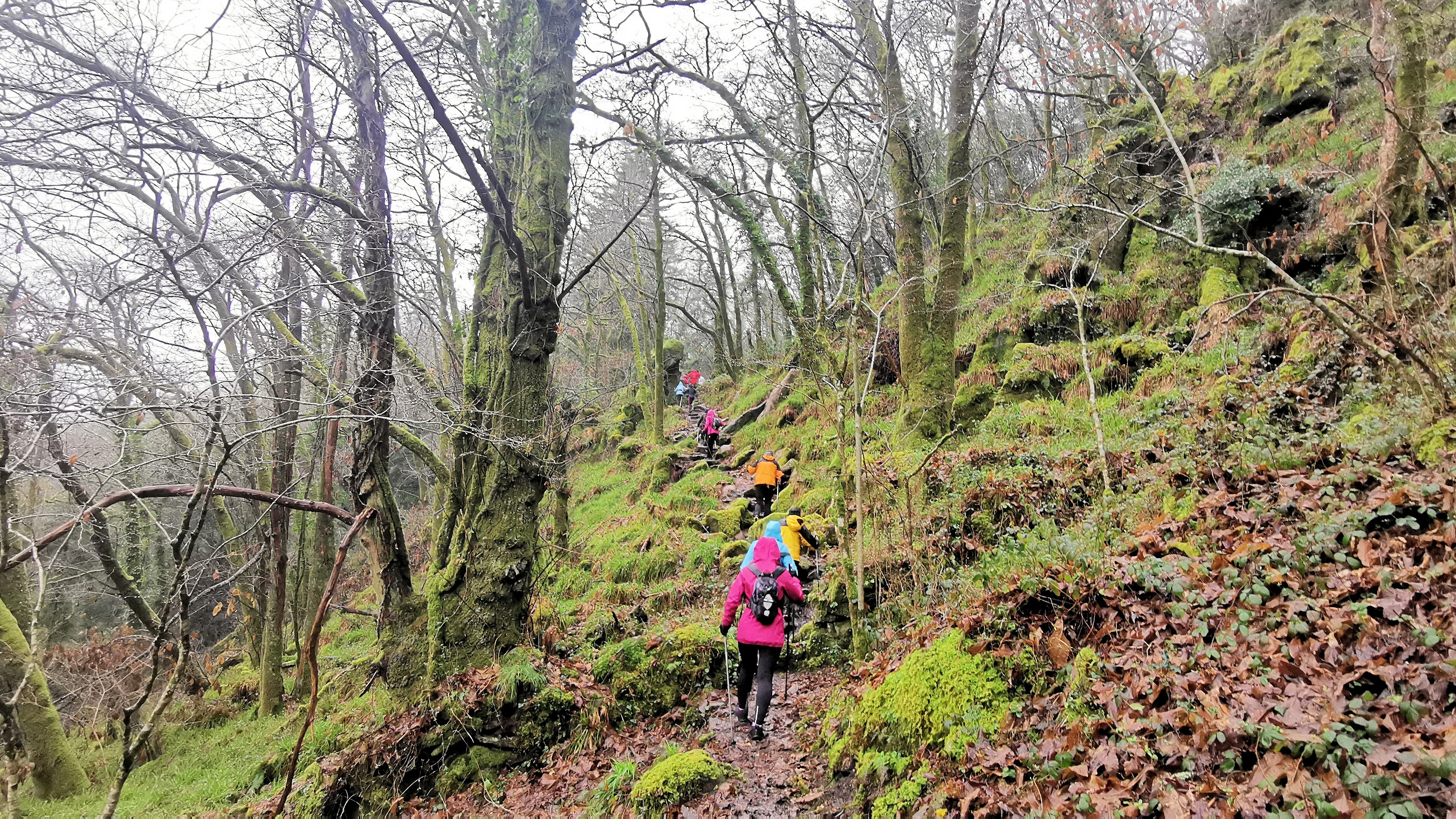 60-IMG_20210121_113057