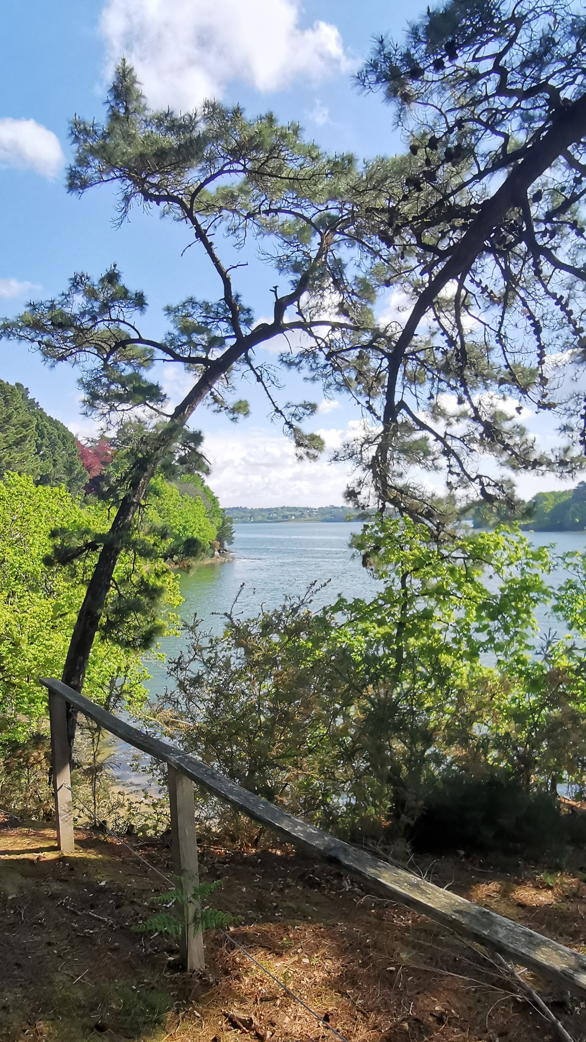 50-IMG_20210501_111813