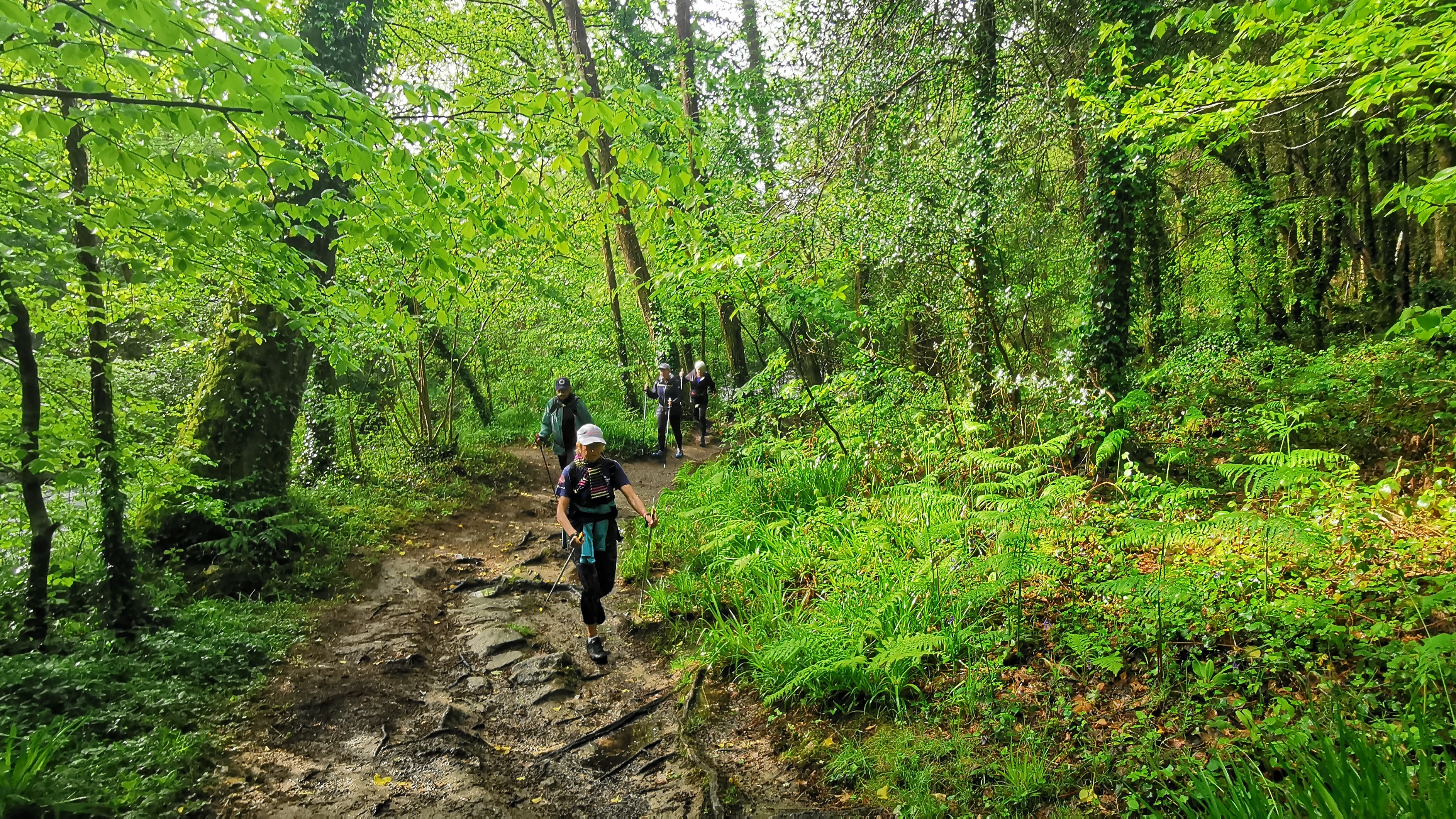 032-IMG_20210513_101609