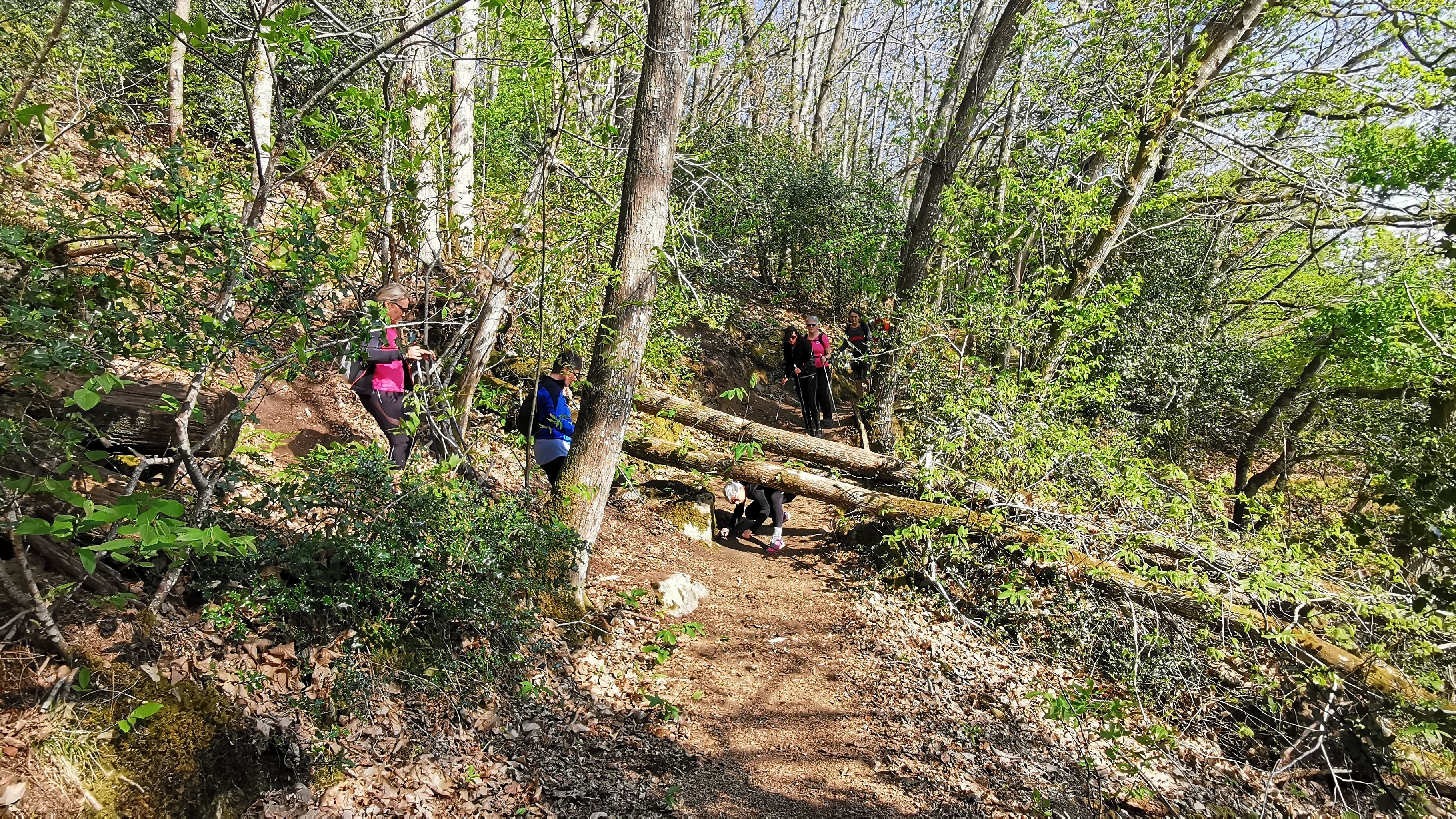 23-IMG_20210425_103126