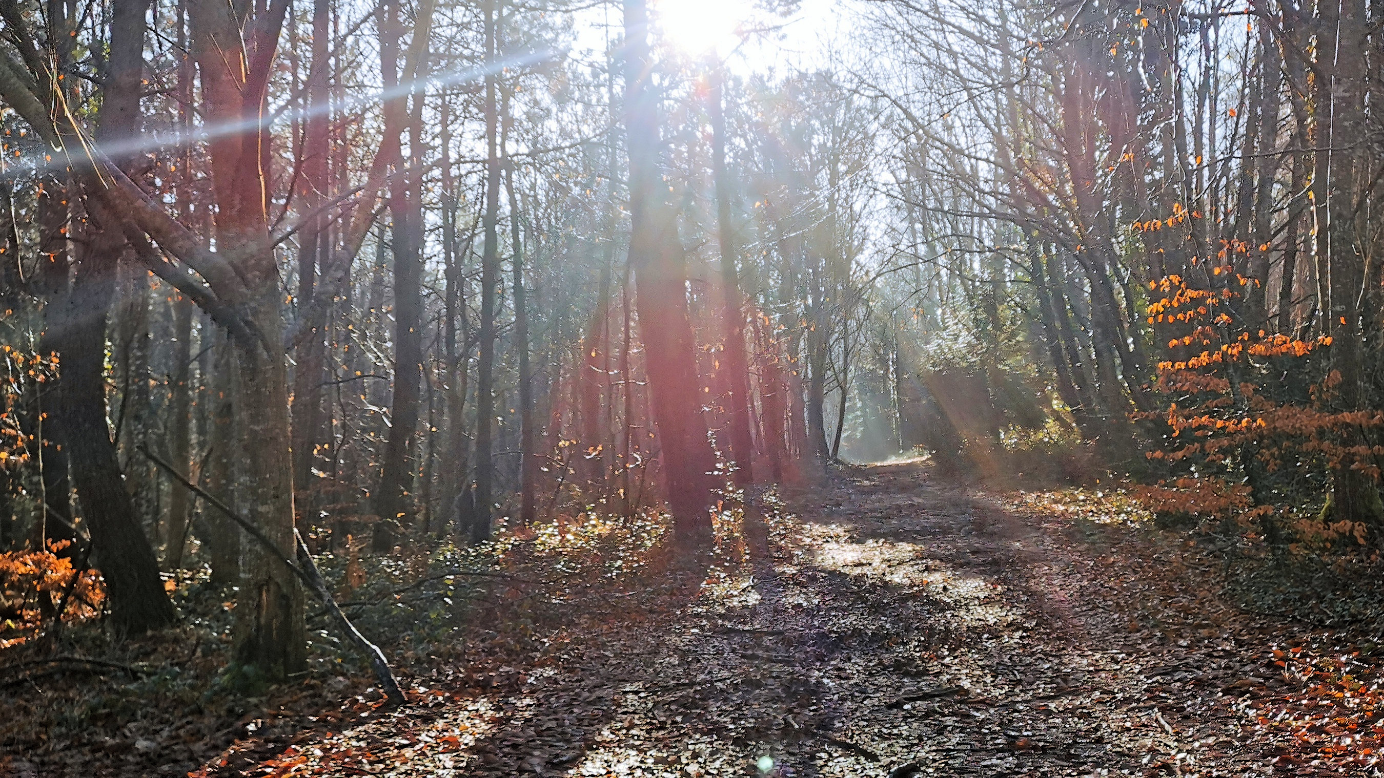 27-IMG_20210206_105545