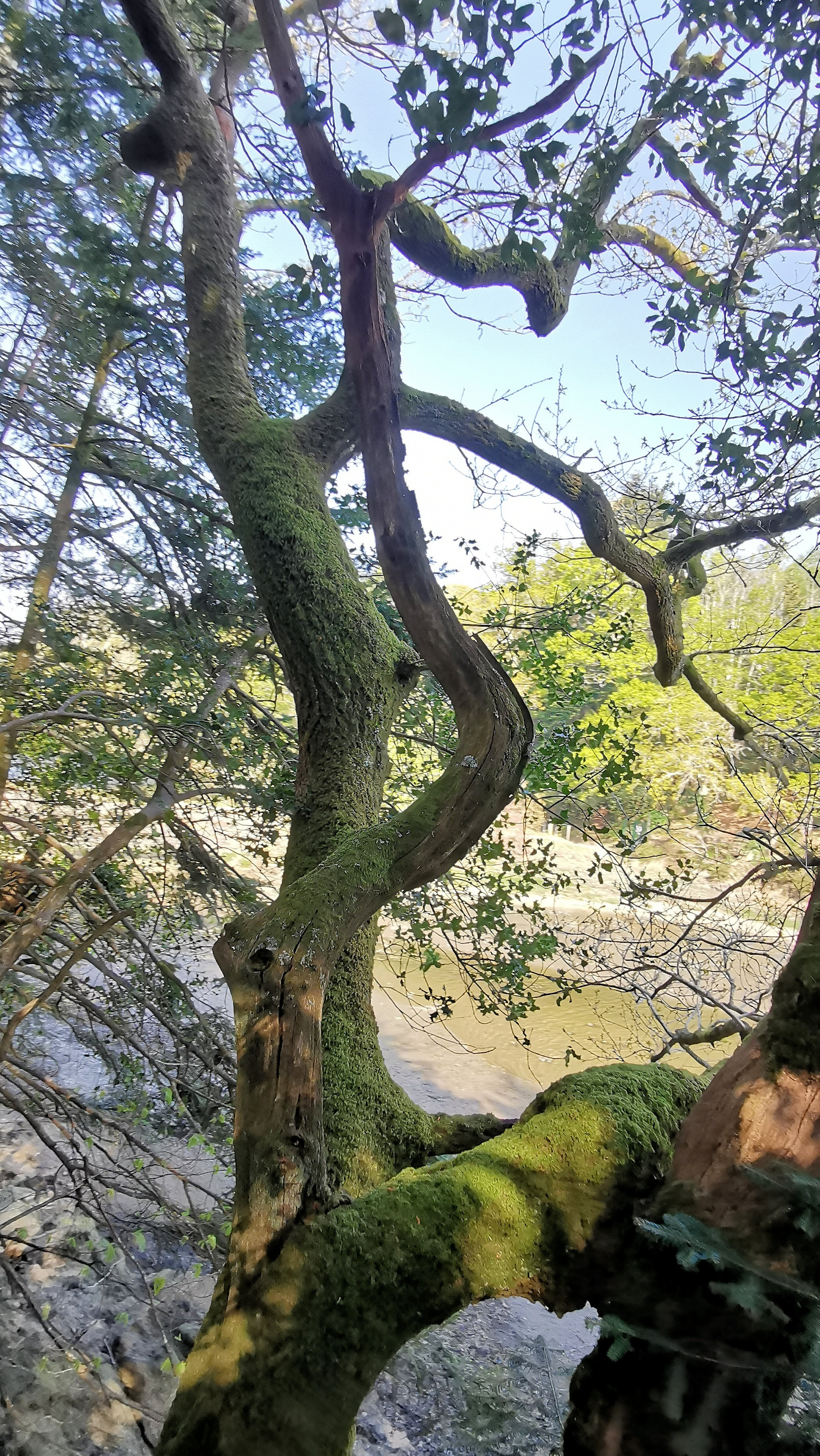 33-IMG_20210422_105954