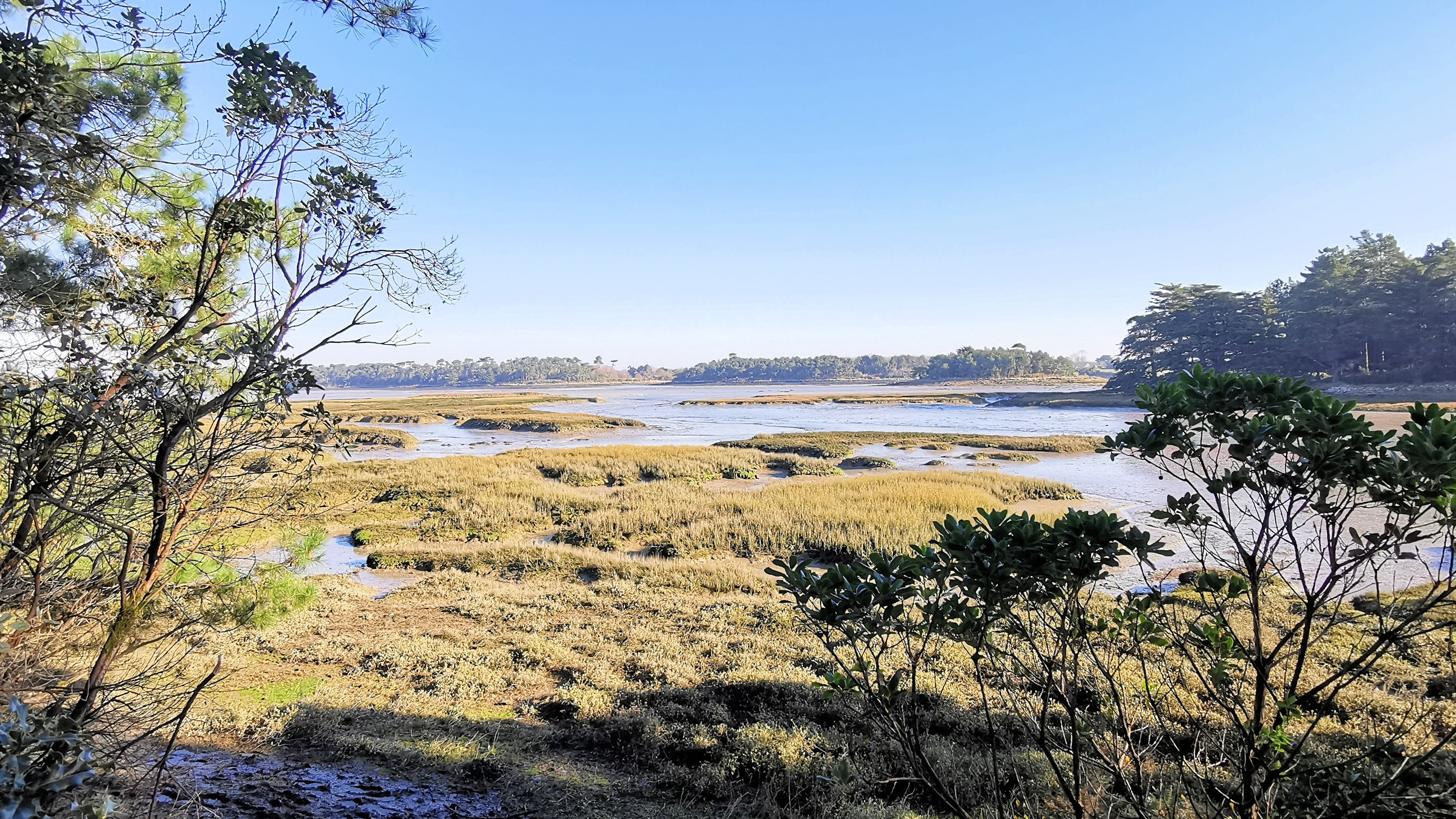 043-IMG_20210228_101751