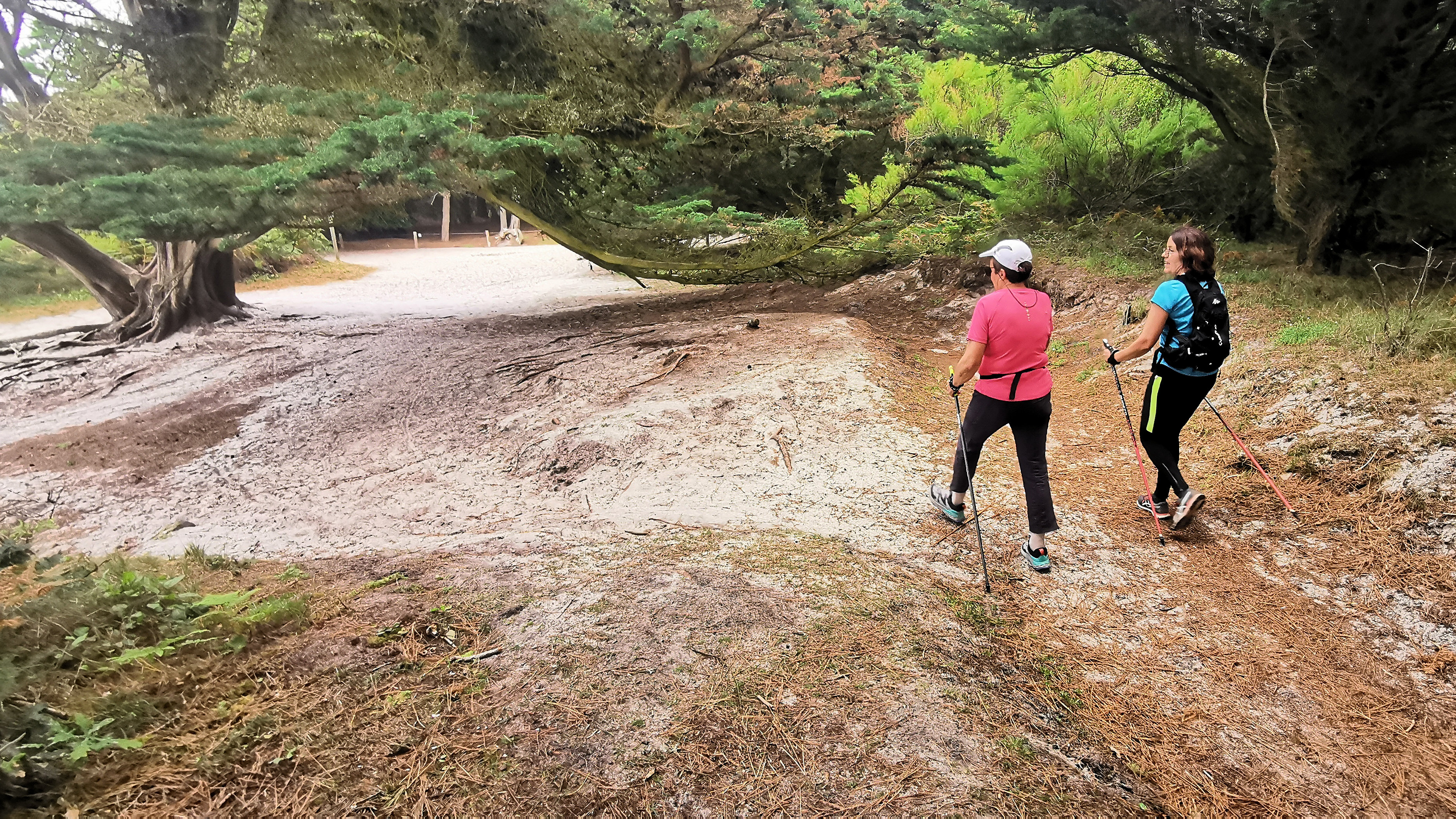 20-IMG_20210726_110107