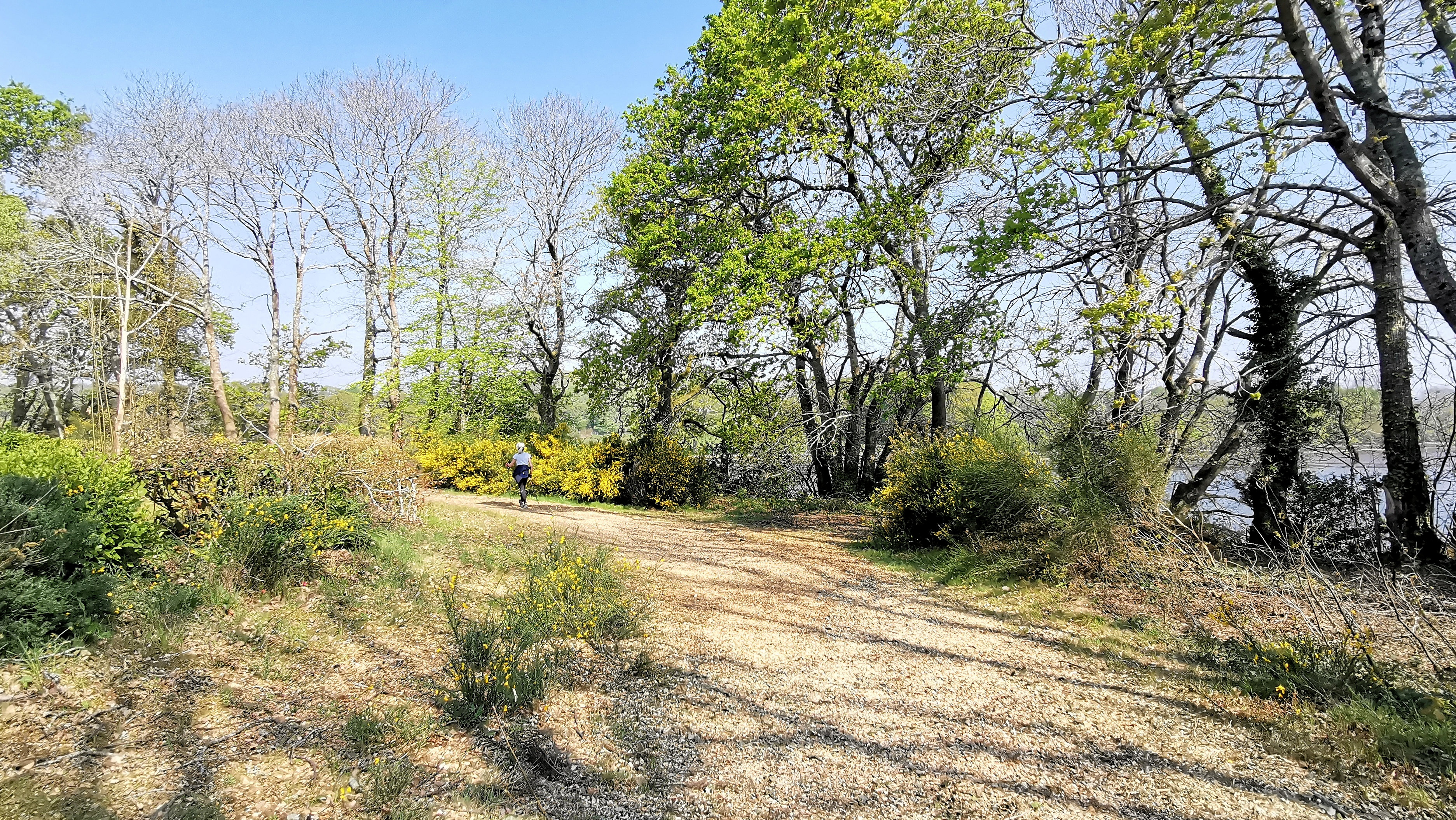 61-IMG_20210422_112015