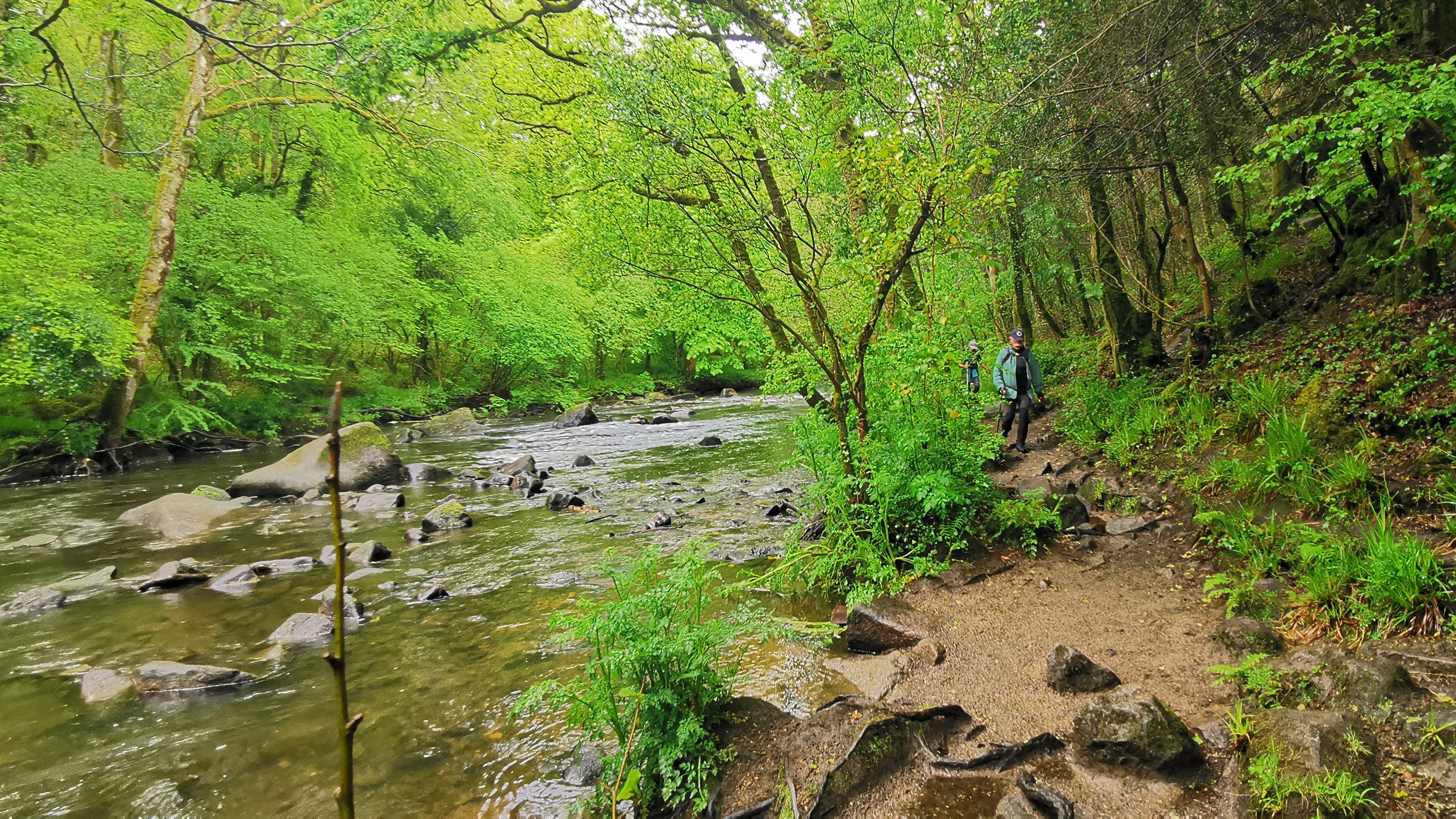 048-IMG_20210513_102940